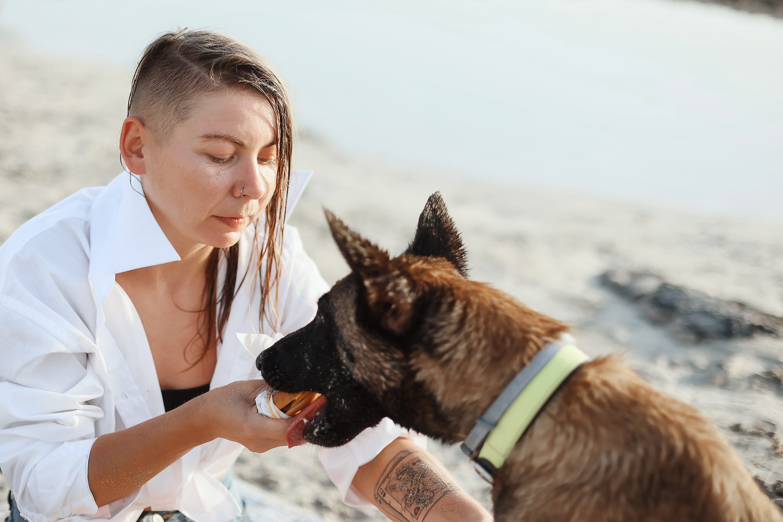 Съемка с питомцем, Айя-Напа. Май, 2022. Kipriotka. Ваш фотограф на Кипре (Айя-Напа, Протарас)