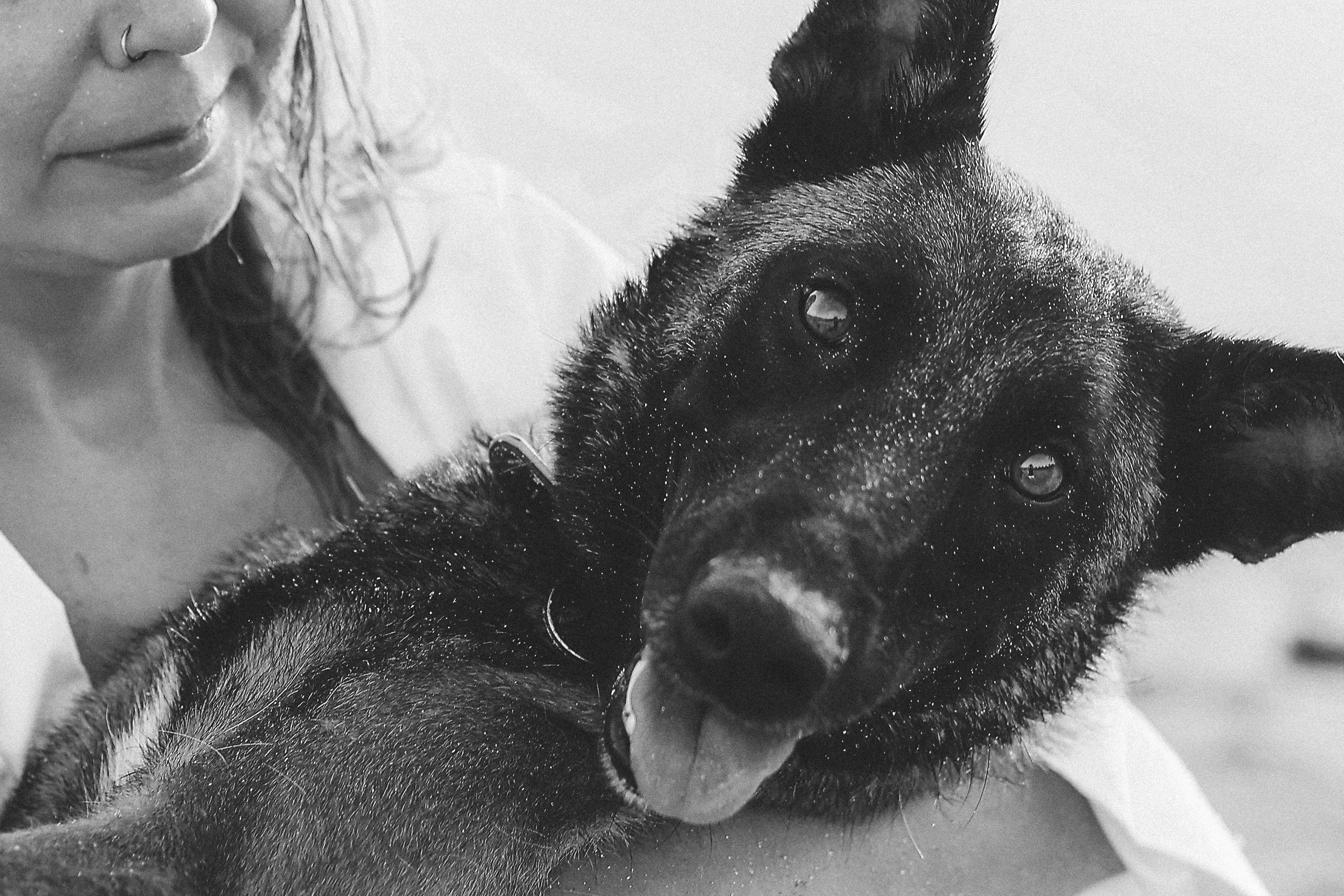 Съемка с питомцем, Айя-Напа. Май, 2022. Kipriotka. Ваш фотограф на Кипре (Айя-Напа, Протарас)