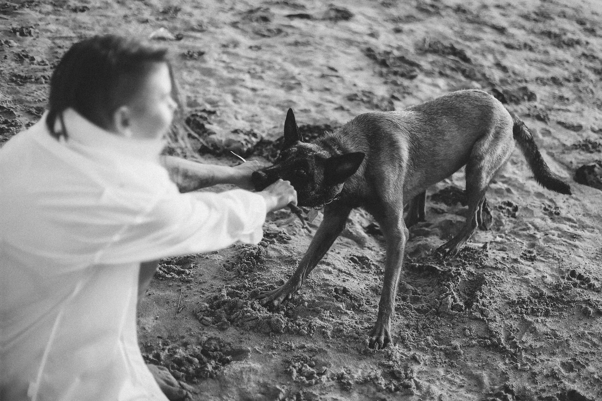 Съемка с питомцем, Айя-Напа. Май, 2022. Kipriotka. Ваш фотограф на Кипре (Айя-Напа, Протарас)