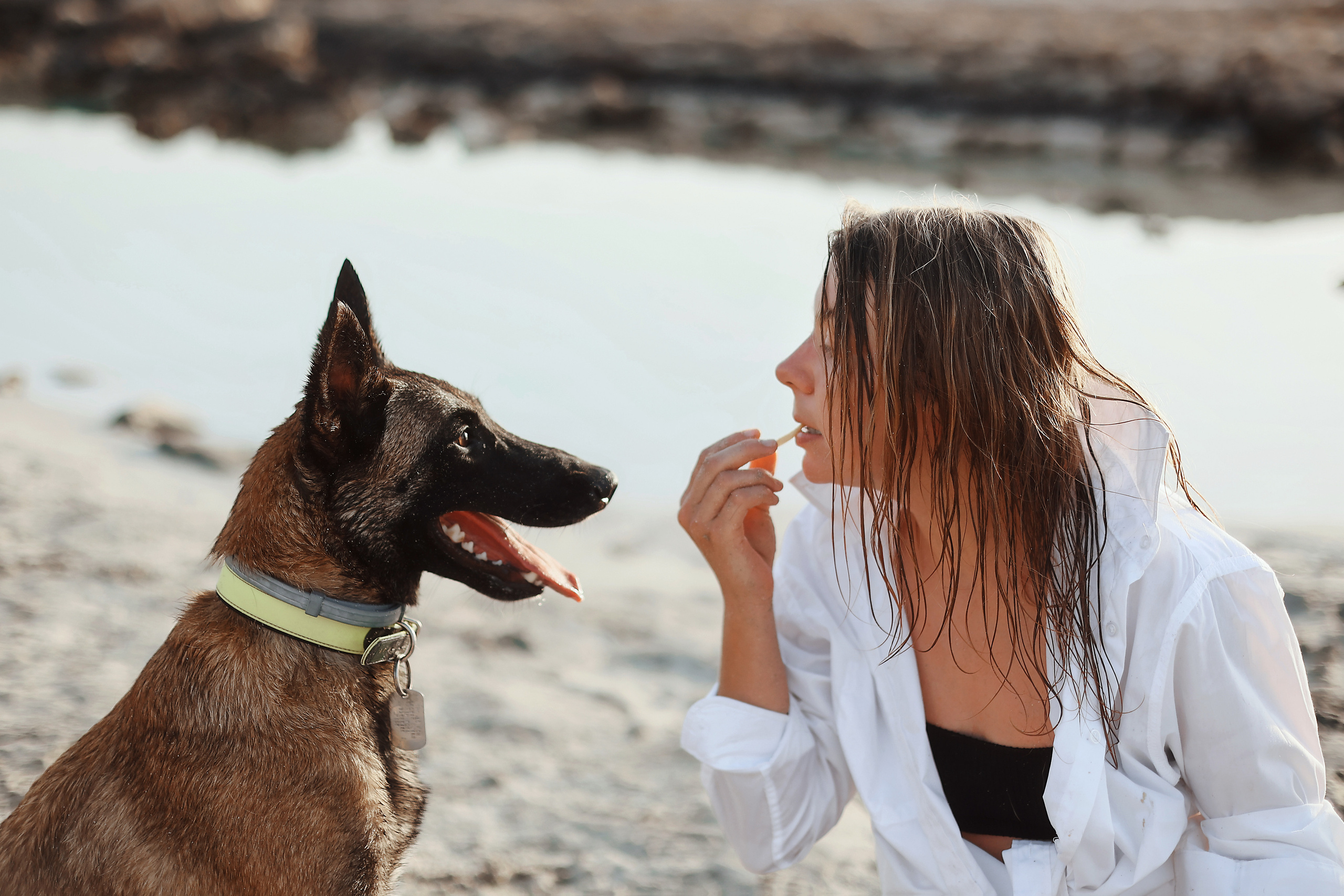Съемка с питомцем, Айя-Напа. Май, 2022. Kipriotka. Ваш фотограф на Кипре (Айя-Напа, Протарас)
