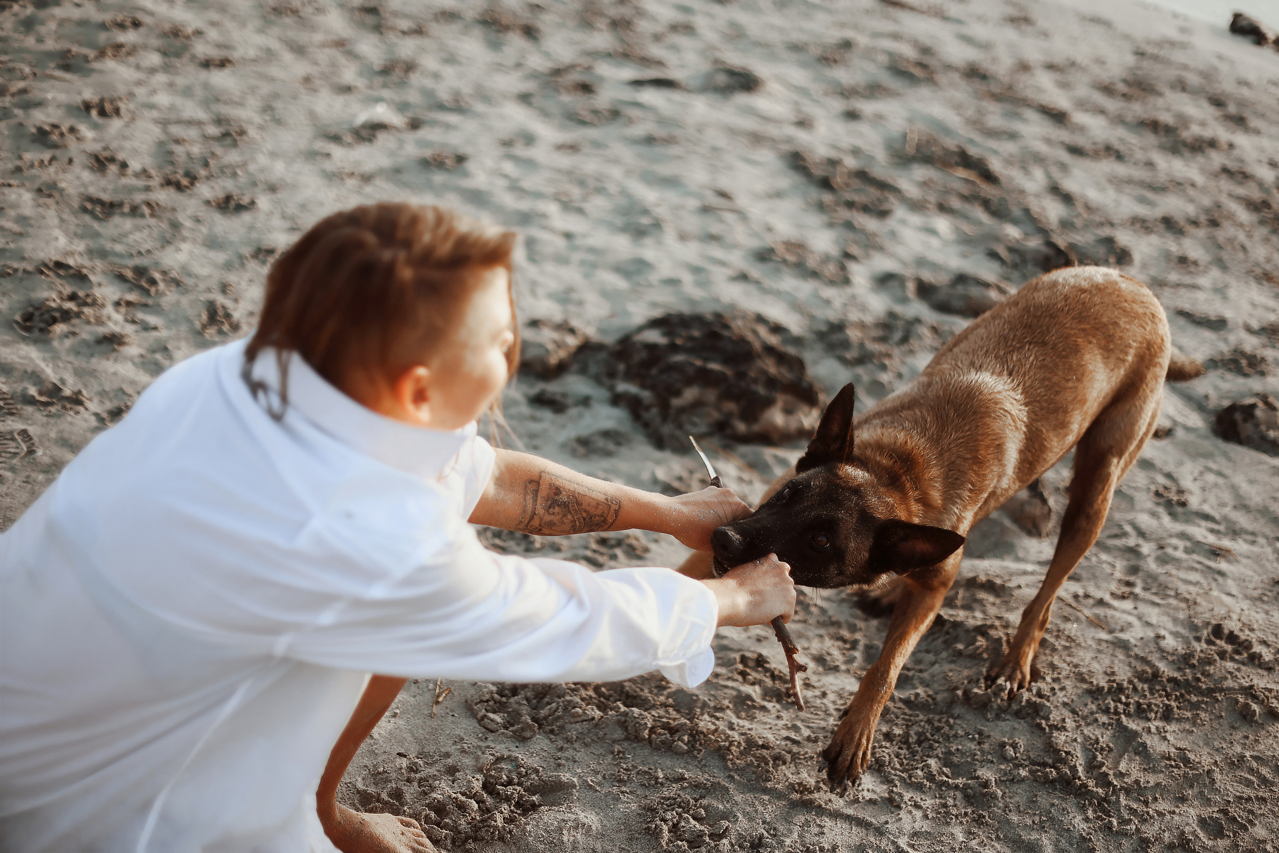 Съемка с питомцем, Айя-Напа. Май, 2022. Kipriotka. Ваш фотограф на Кипре (Айя-Напа, Протарас)