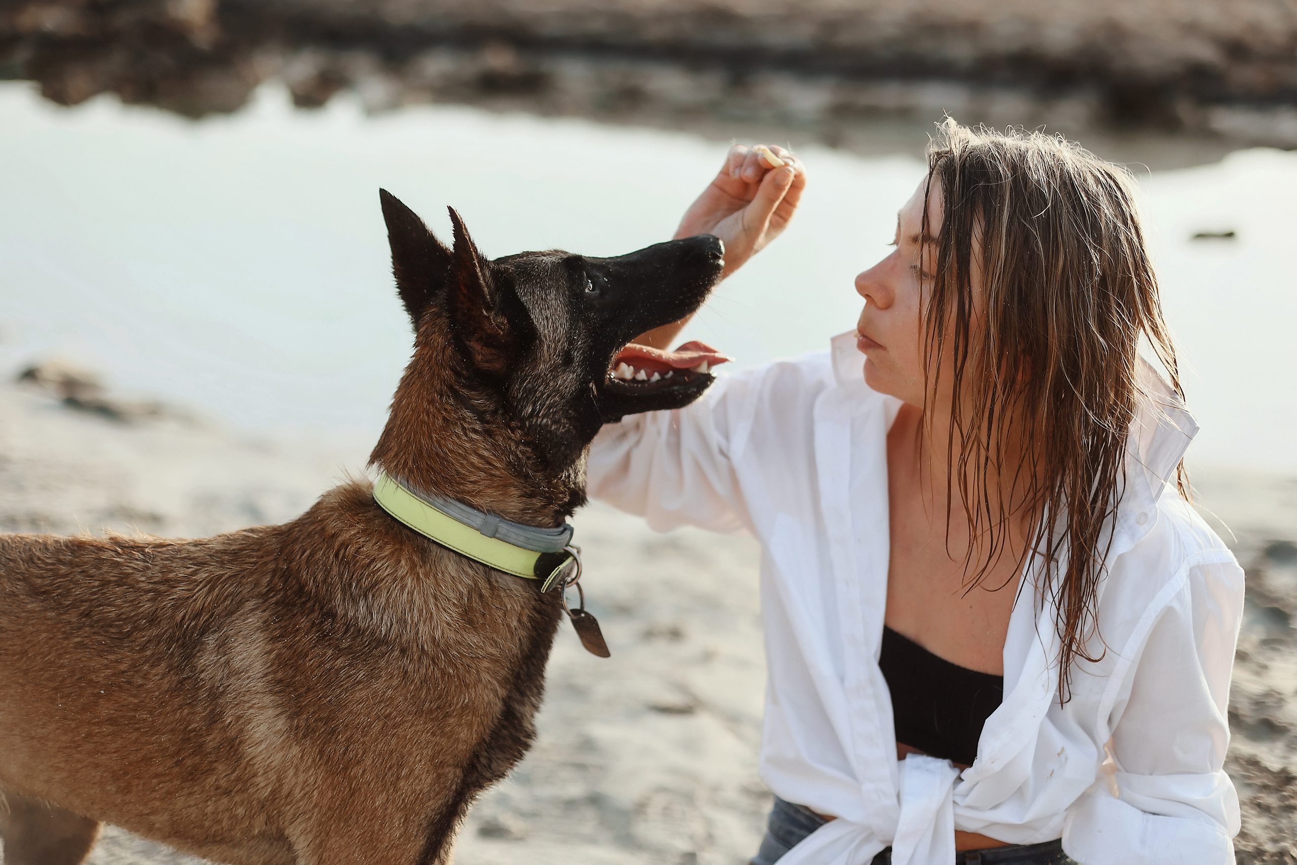 Съемка с питомцем, Айя-Напа. Май, 2022. Kipriotka. Ваш фотограф на Кипре (Айя-Напа, Протарас)