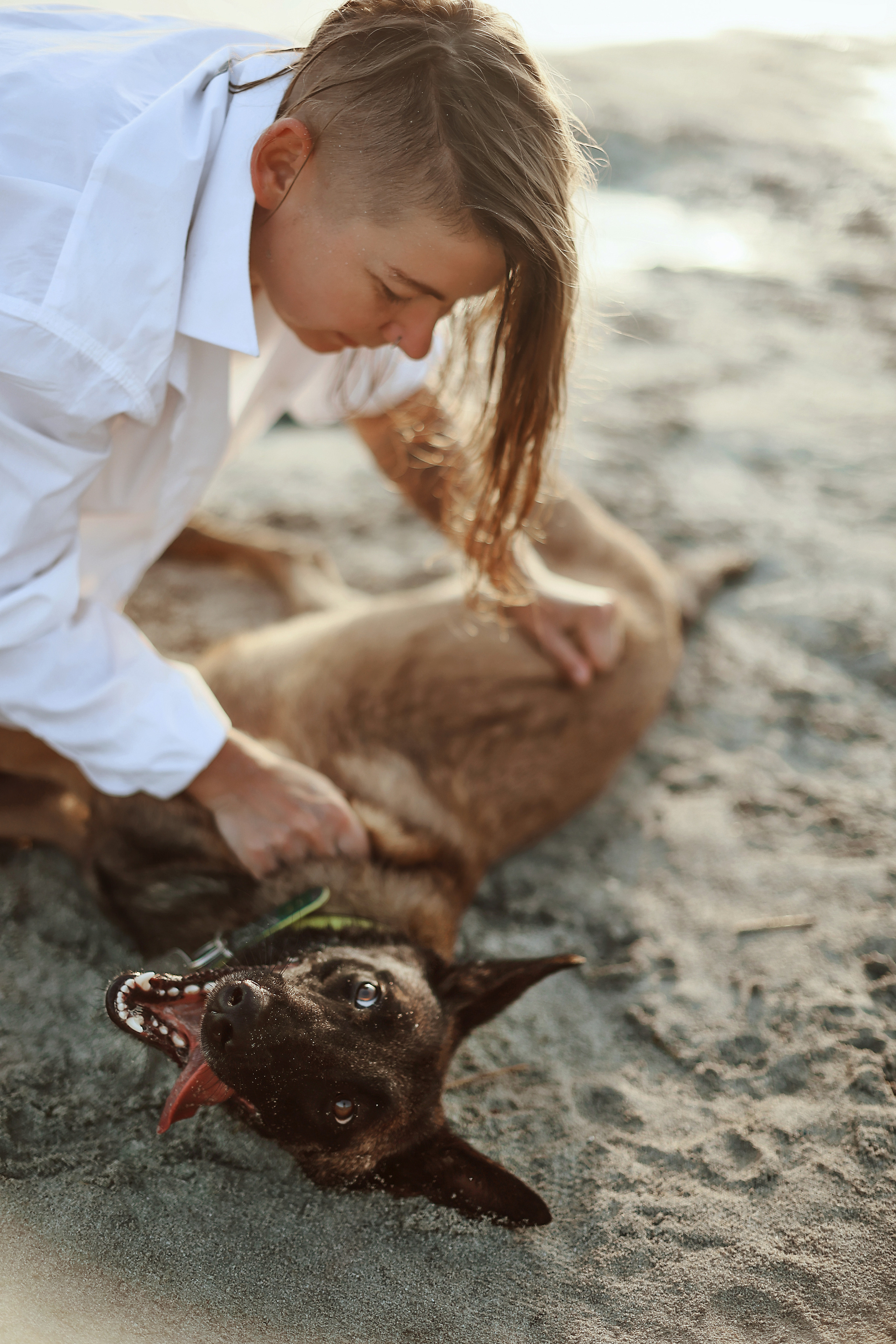 Съемка с питомцем, Айя-Напа. Май, 2022. Kipriotka. Ваш фотограф на Кипре (Айя-Напа, Протарас)