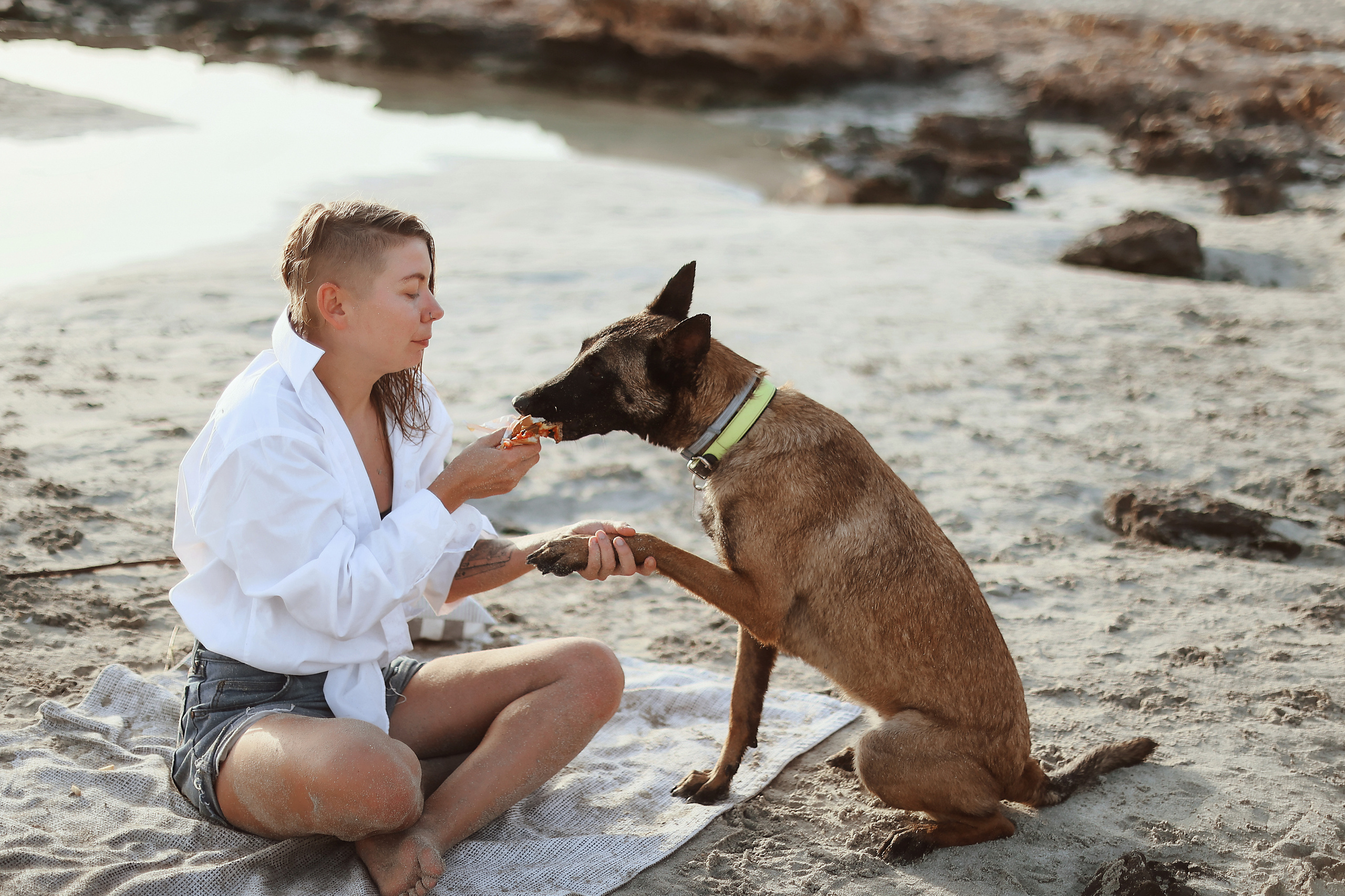 Съемка с питомцем, Айя-Напа. Май, 2022. Kipriotka. Ваш фотограф на Кипре (Айя-Напа, Протарас)