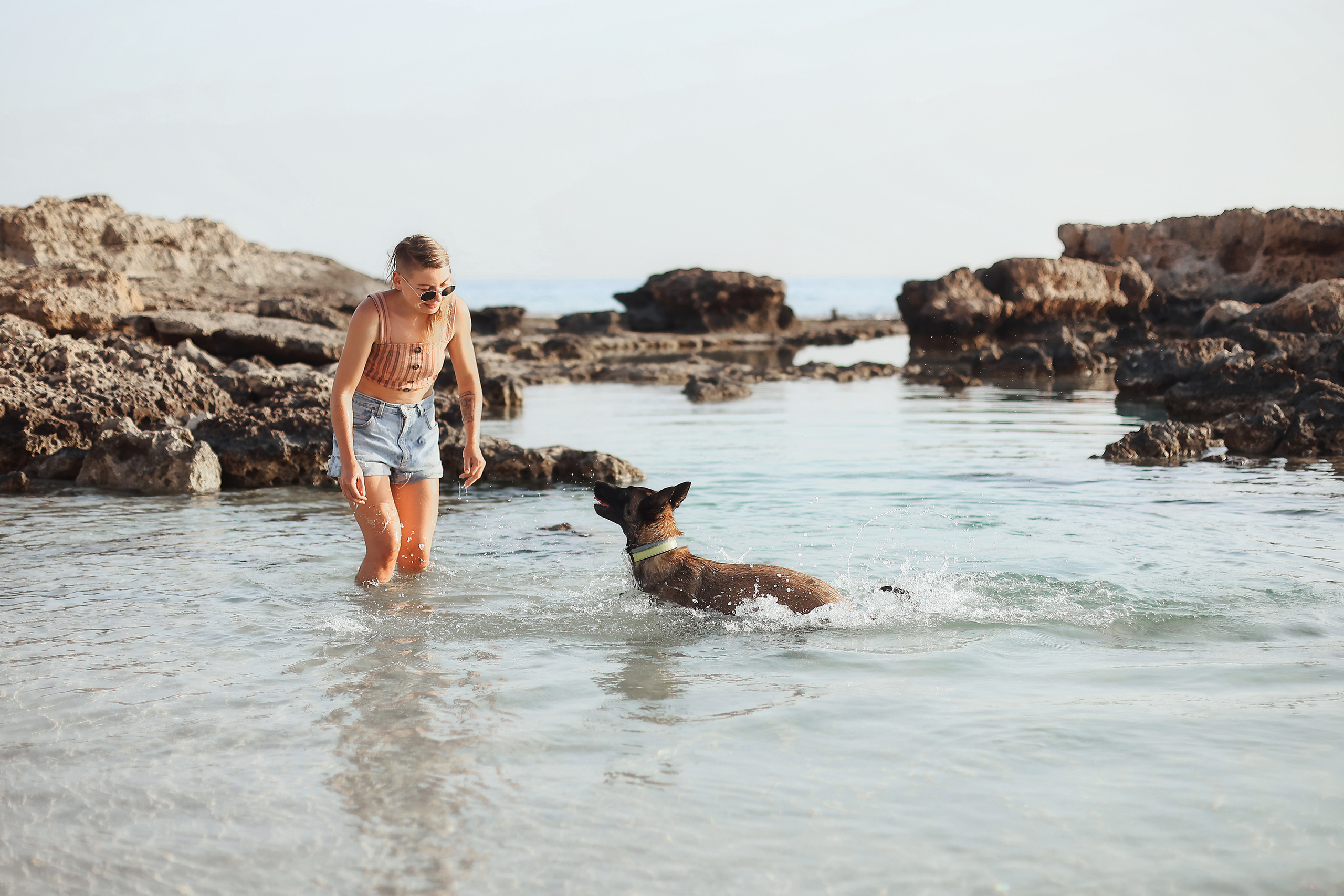 Съемка с питомцем, Айя-Напа. Май, 2022. Kipriotka. Ваш фотограф на Кипре (Айя-Напа, Протарас)
