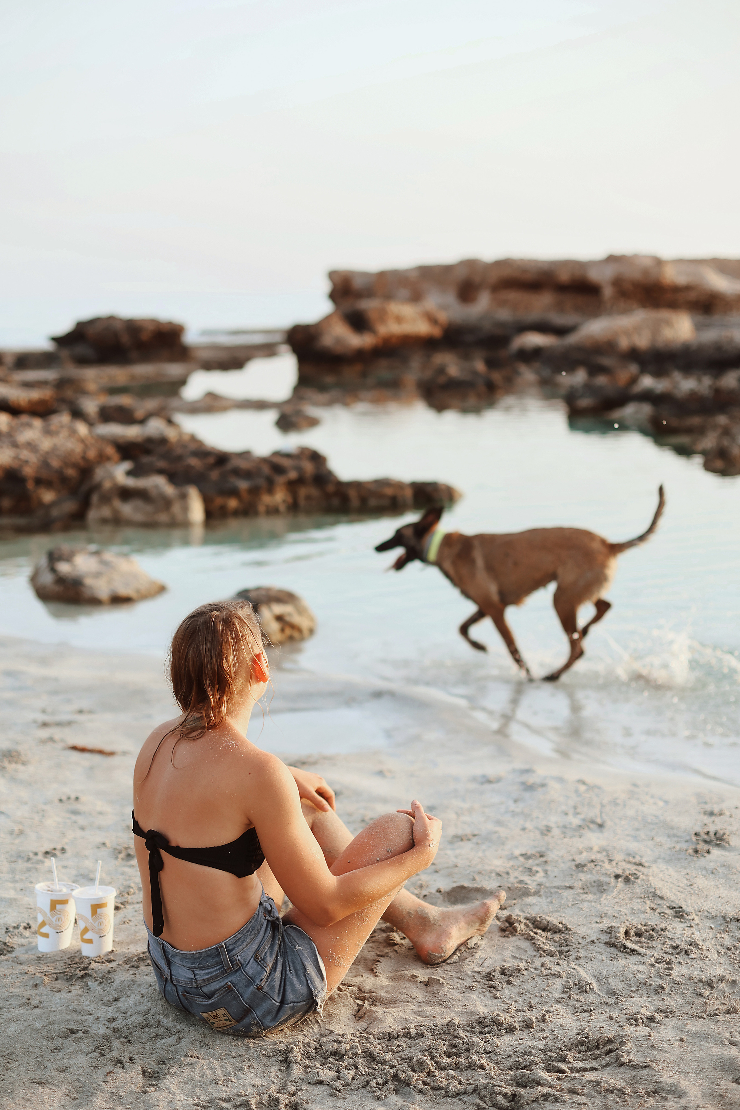 Съемка с питомцем, Айя-Напа. Май, 2022. Kipriotka. Ваш фотограф на Кипре (Айя-Напа, Протарас)