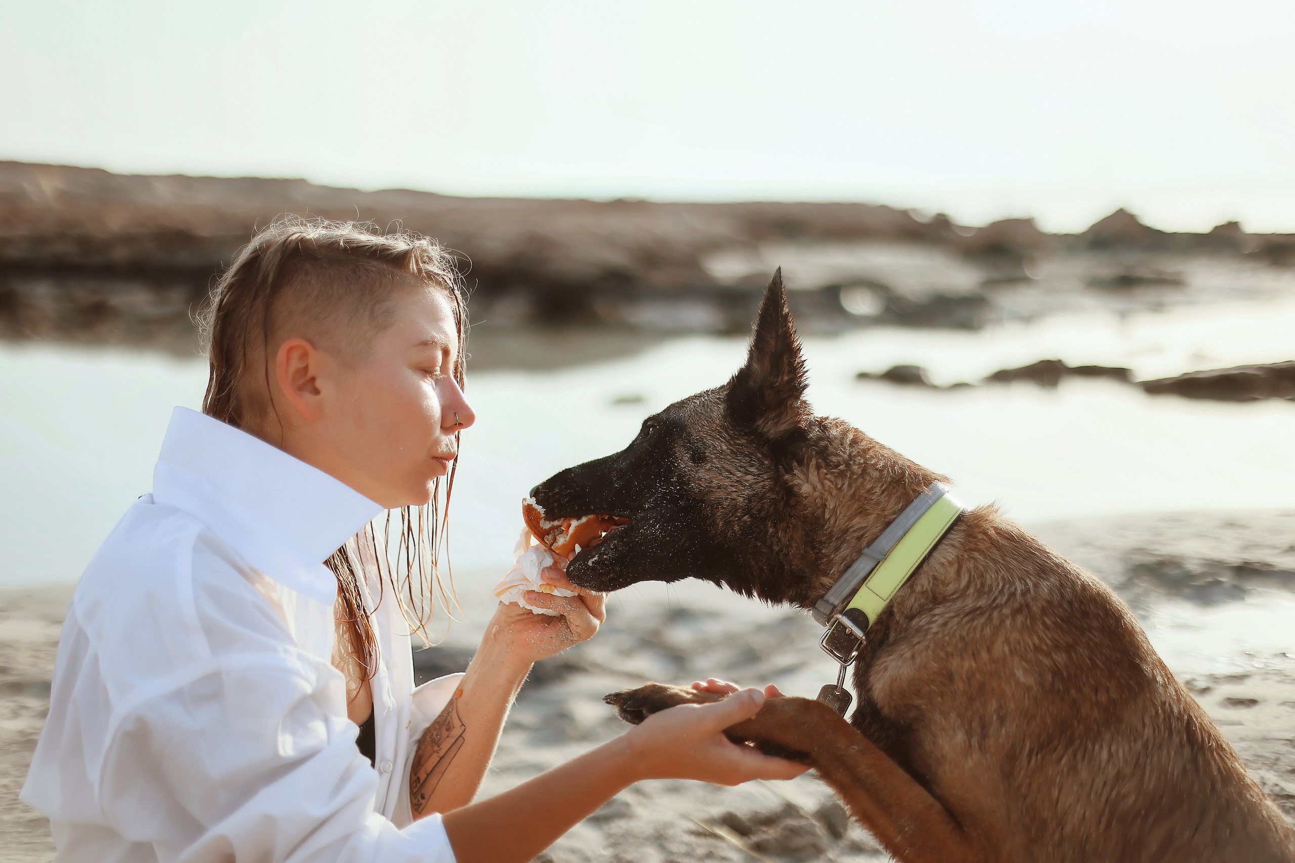 Съемка с питомцем, Айя-Напа. Май, 2022. Kipriotka. Ваш фотограф на Кипре (Айя-Напа, Протарас)