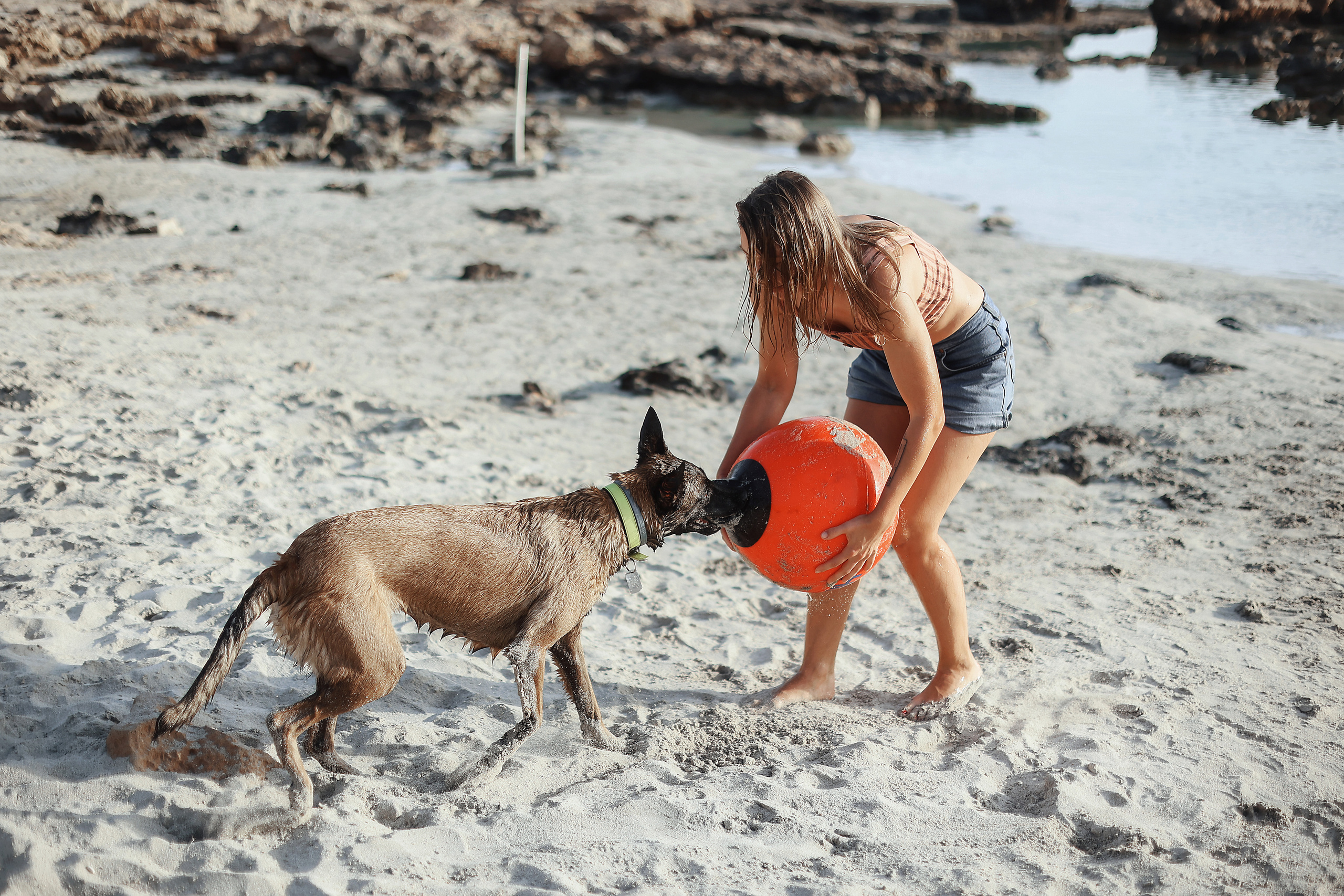 Съемка с питомцем, Айя-Напа. Май, 2022. Kipriotka. Ваш фотограф на Кипре (Айя-Напа, Протарас)