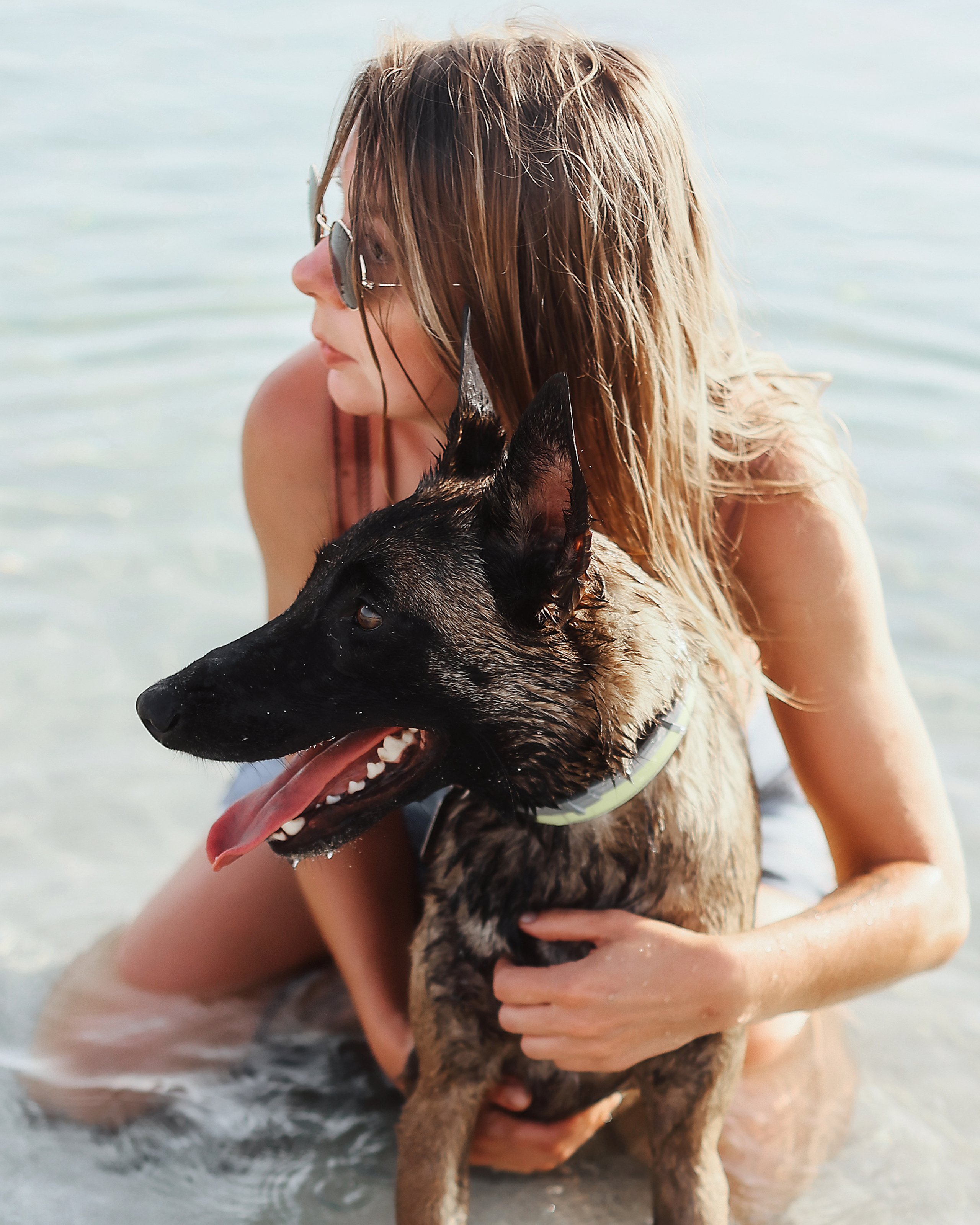 Съемка с питомцем, Айя-Напа. Май, 2022. Kipriotka. Ваш фотограф на Кипре (Айя-Напа, Протарас)