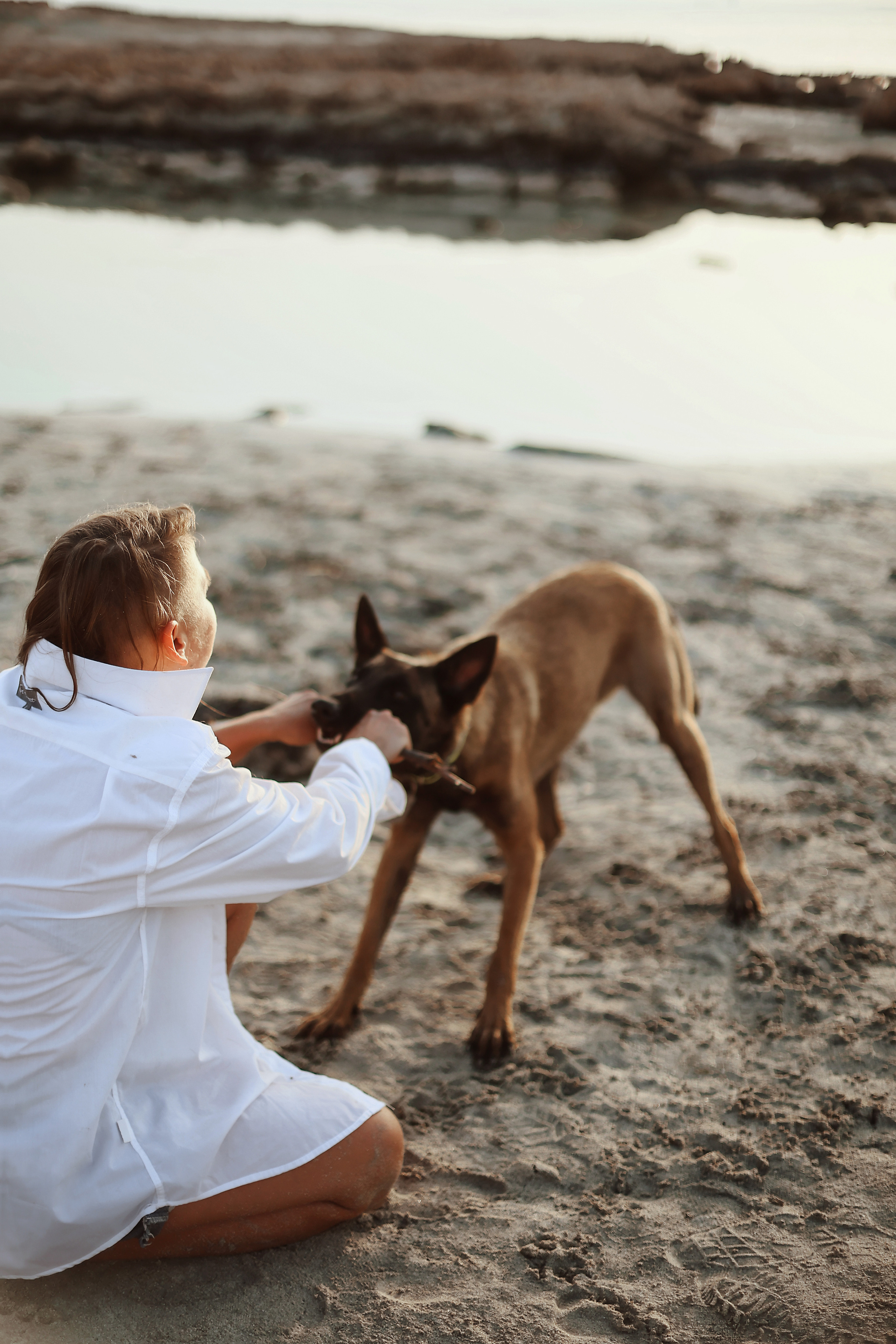 Съемка с питомцем, Айя-Напа. Май, 2022. Kipriotka. Ваш фотограф на Кипре (Айя-Напа, Протарас)
