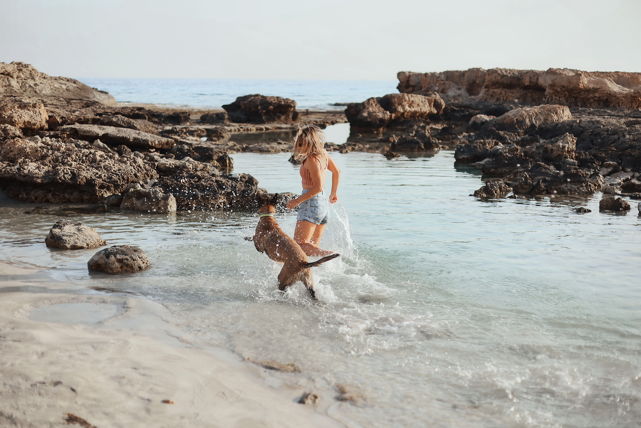 Съемка с питомцем, Айя-Напа. Май, 2022. Kipriotka. Ваш фотограф на Кипре (Айя-Напа, Протарас)