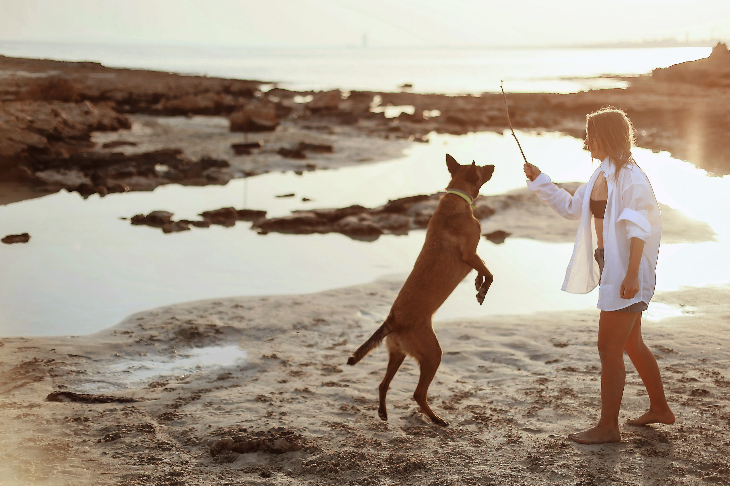 Съемка с питомцем, Айя-Напа. Май, 2022. Kipriotka. Ваш фотограф на Кипре (Айя-Напа, Протарас)