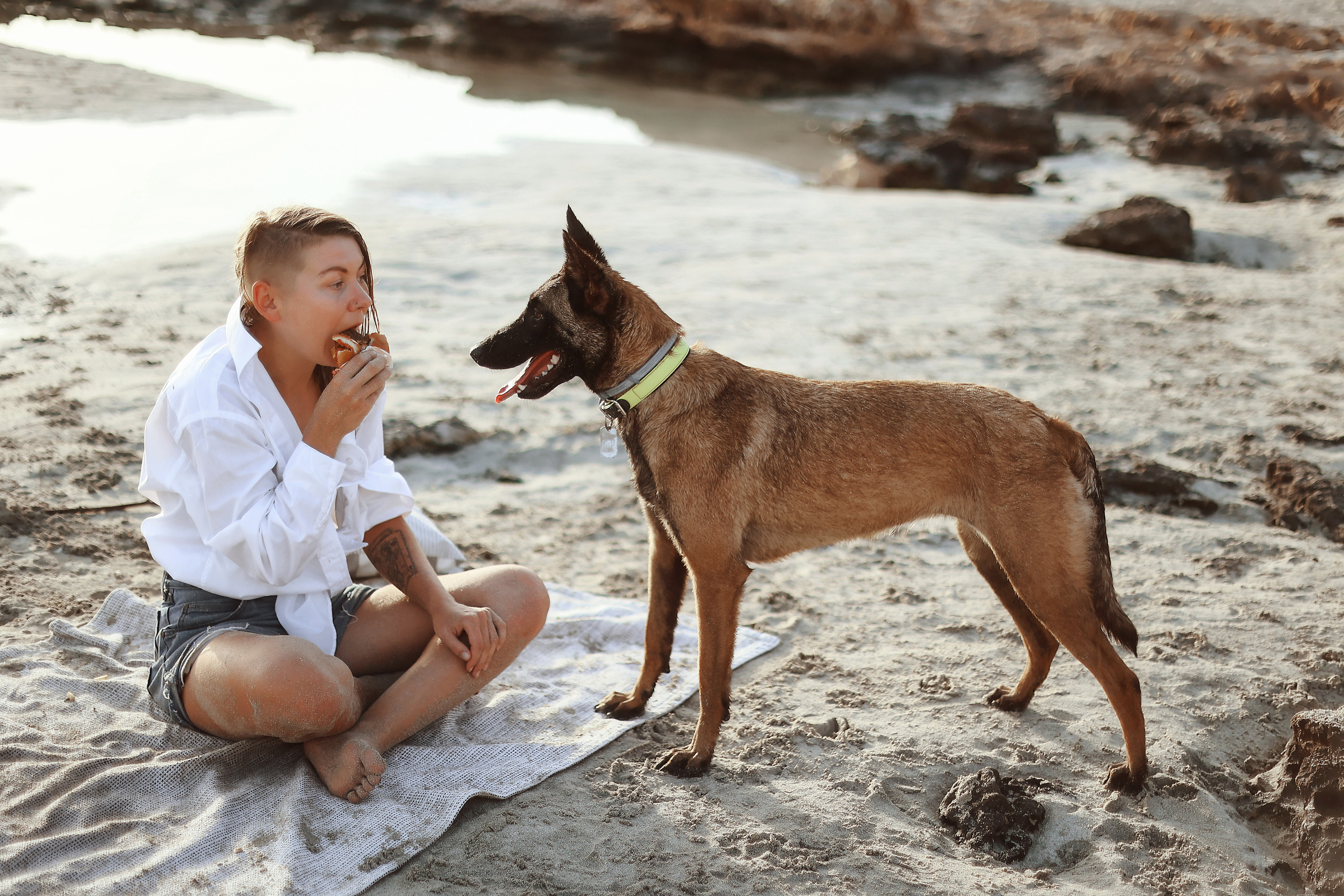Съемка с питомцем, Айя-Напа. Май, 2022. Kipriotka. Ваш фотограф на Кипре (Айя-Напа, Протарас)