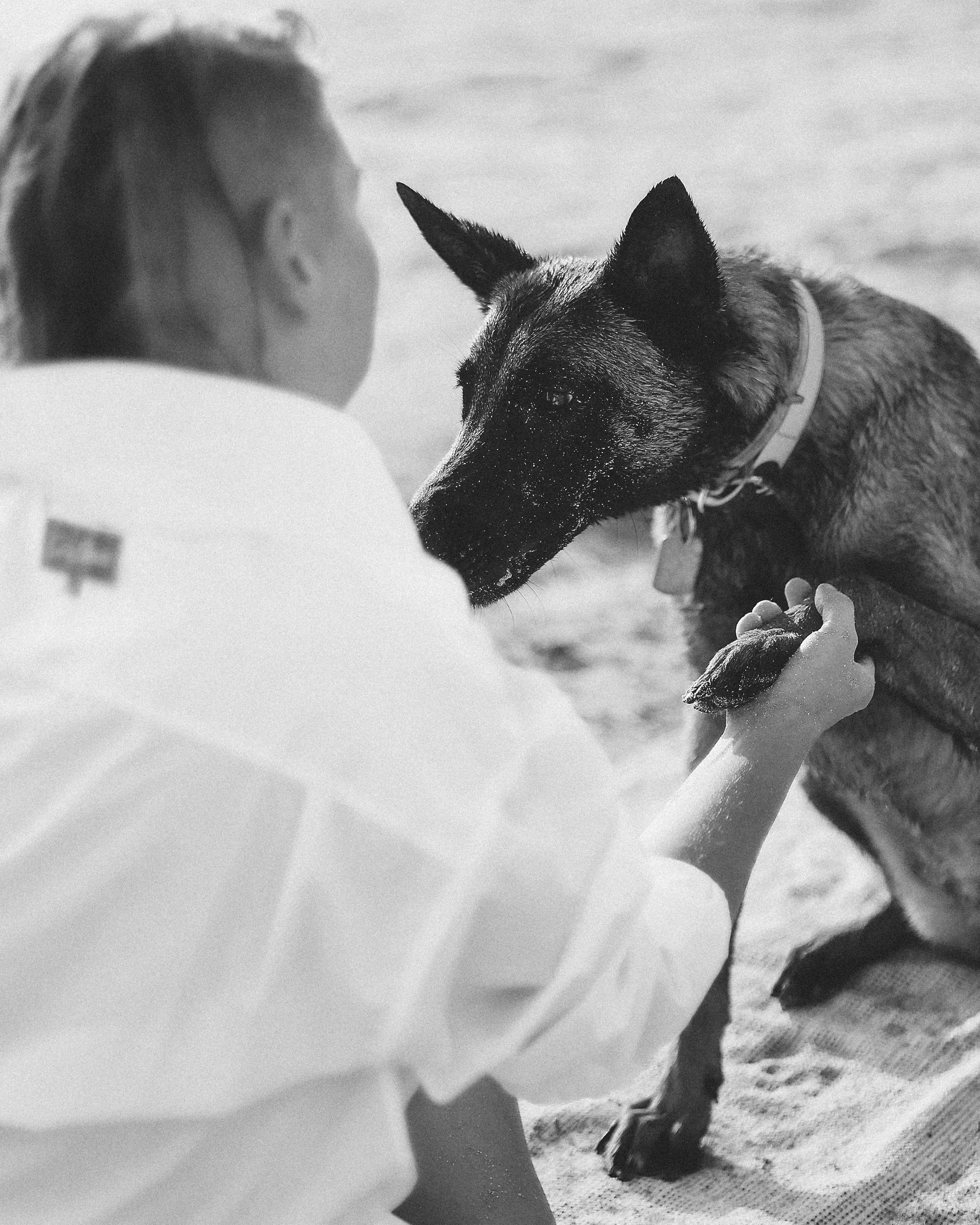 Съемка с питомцем, Айя-Напа. Май, 2022. Kipriotka. Ваш фотограф на Кипре (Айя-Напа, Протарас)