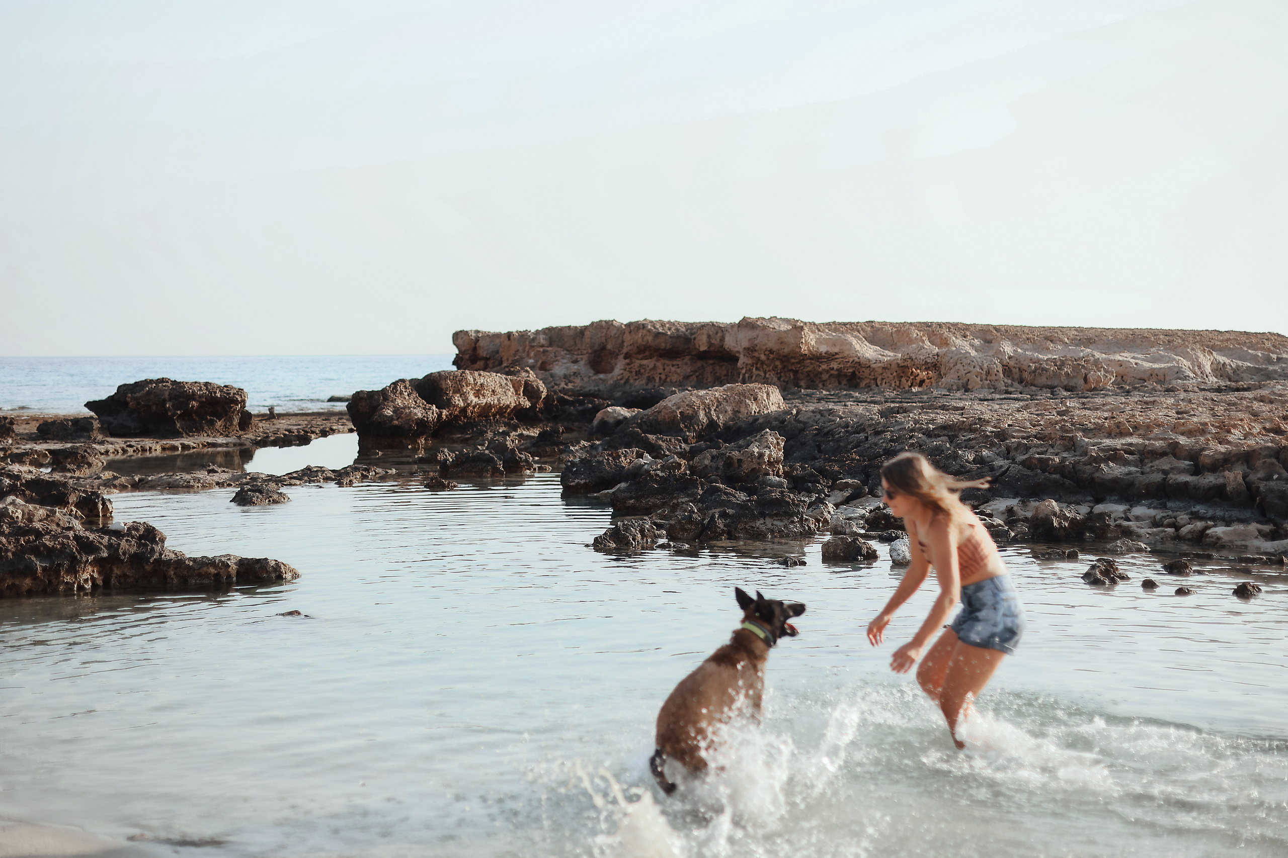 Съемка с питомцем, Айя-Напа. Май, 2022. Kipriotka. Ваш фотограф на Кипре (Айя-Напа, Протарас)