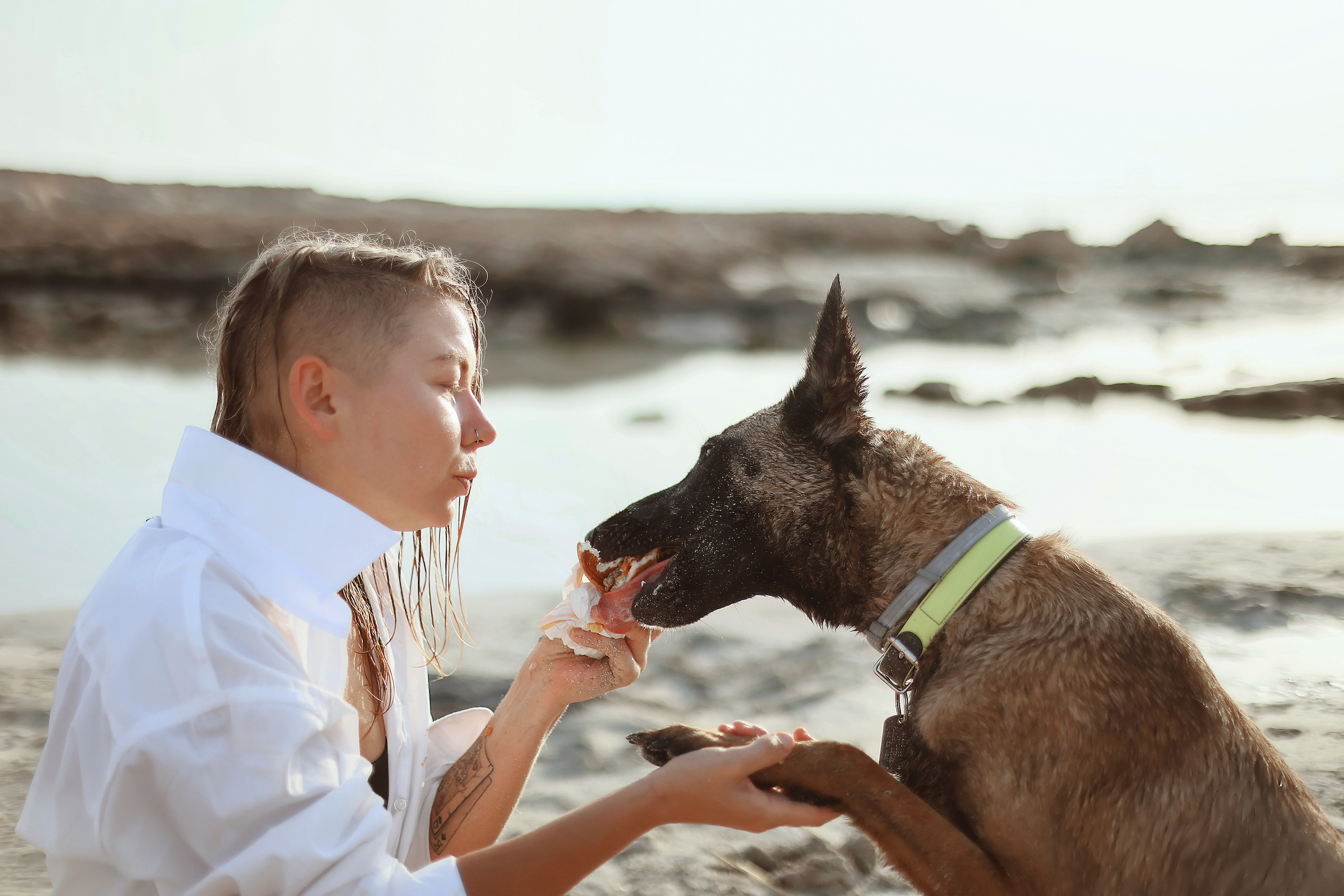 Съемка с питомцем, Айя-Напа. Май, 2022. Kipriotka. Ваш фотограф на Кипре (Айя-Напа, Протарас)