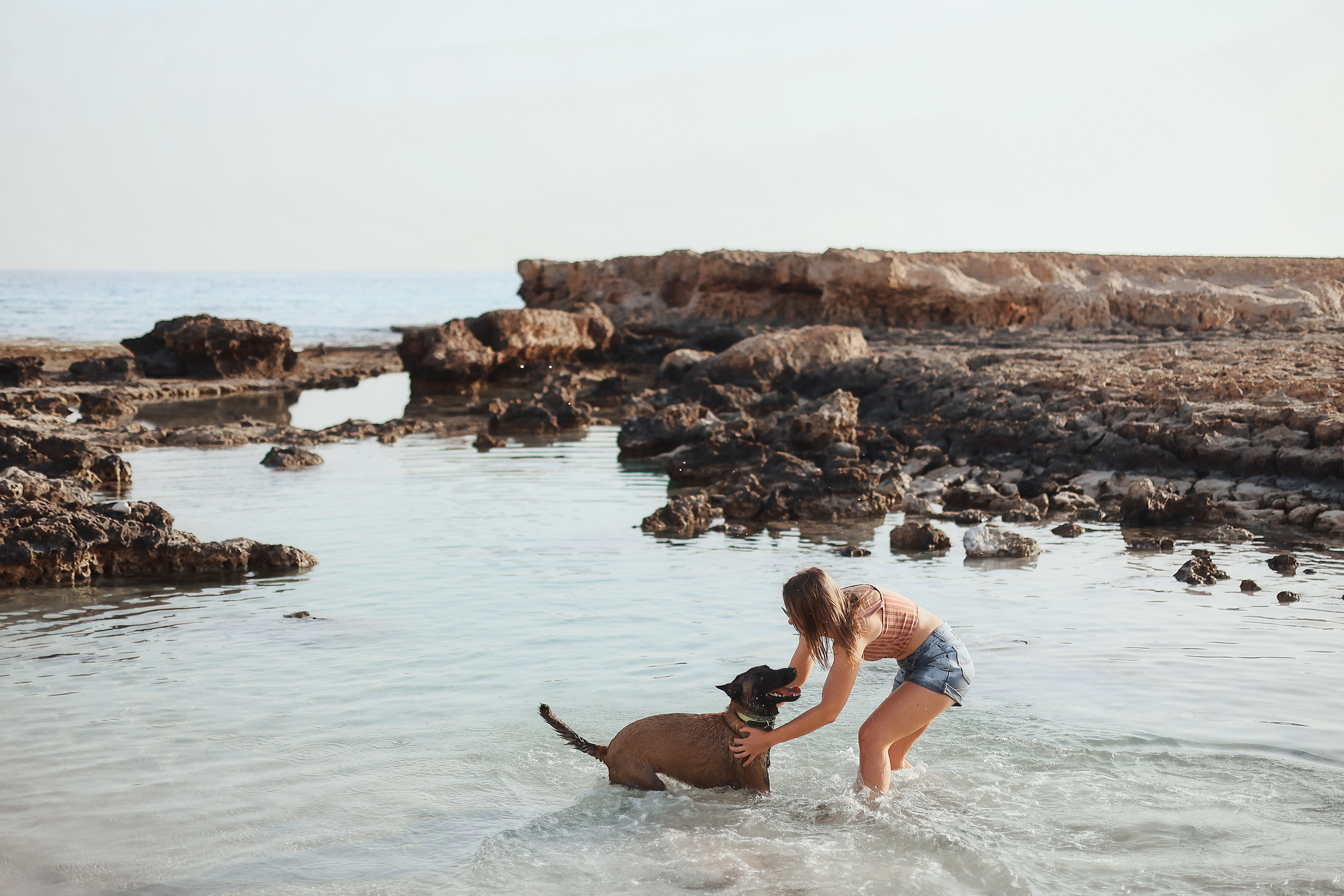 Съемка с питомцем, Айя-Напа. Май, 2022. Kipriotka. Ваш фотограф на Кипре (Айя-Напа, Протарас)