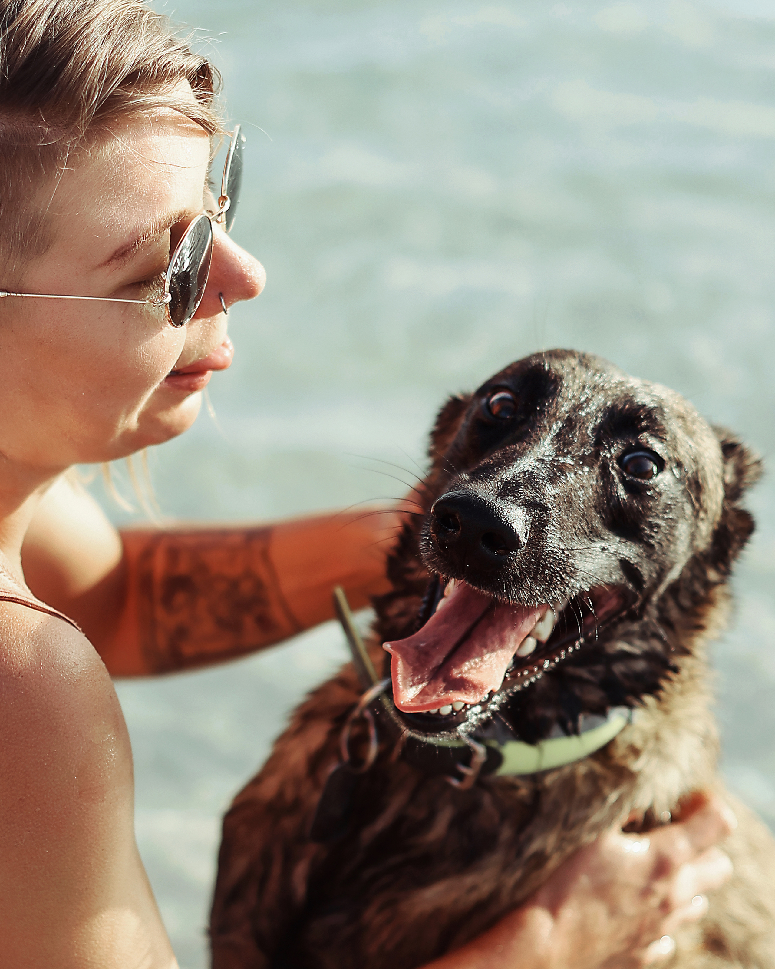 Съемка с питомцем, Айя-Напа. Май, 2022. Kipriotka. Ваш фотограф на Кипре (Айя-Напа, Протарас)