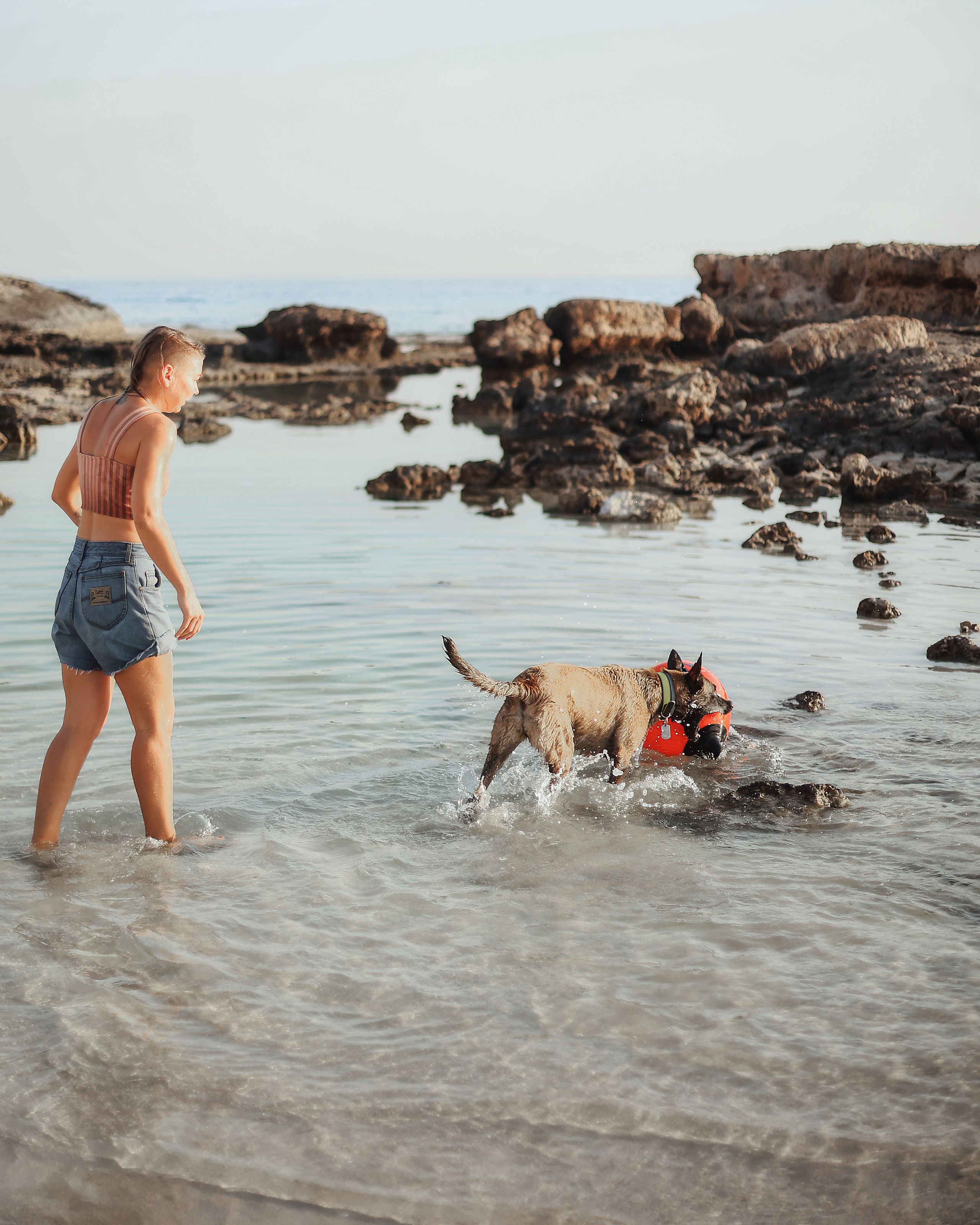 Съемка с питомцем, Айя-Напа. Май, 2022. Kipriotka. Ваш фотограф на Кипре (Айя-Напа, Протарас)