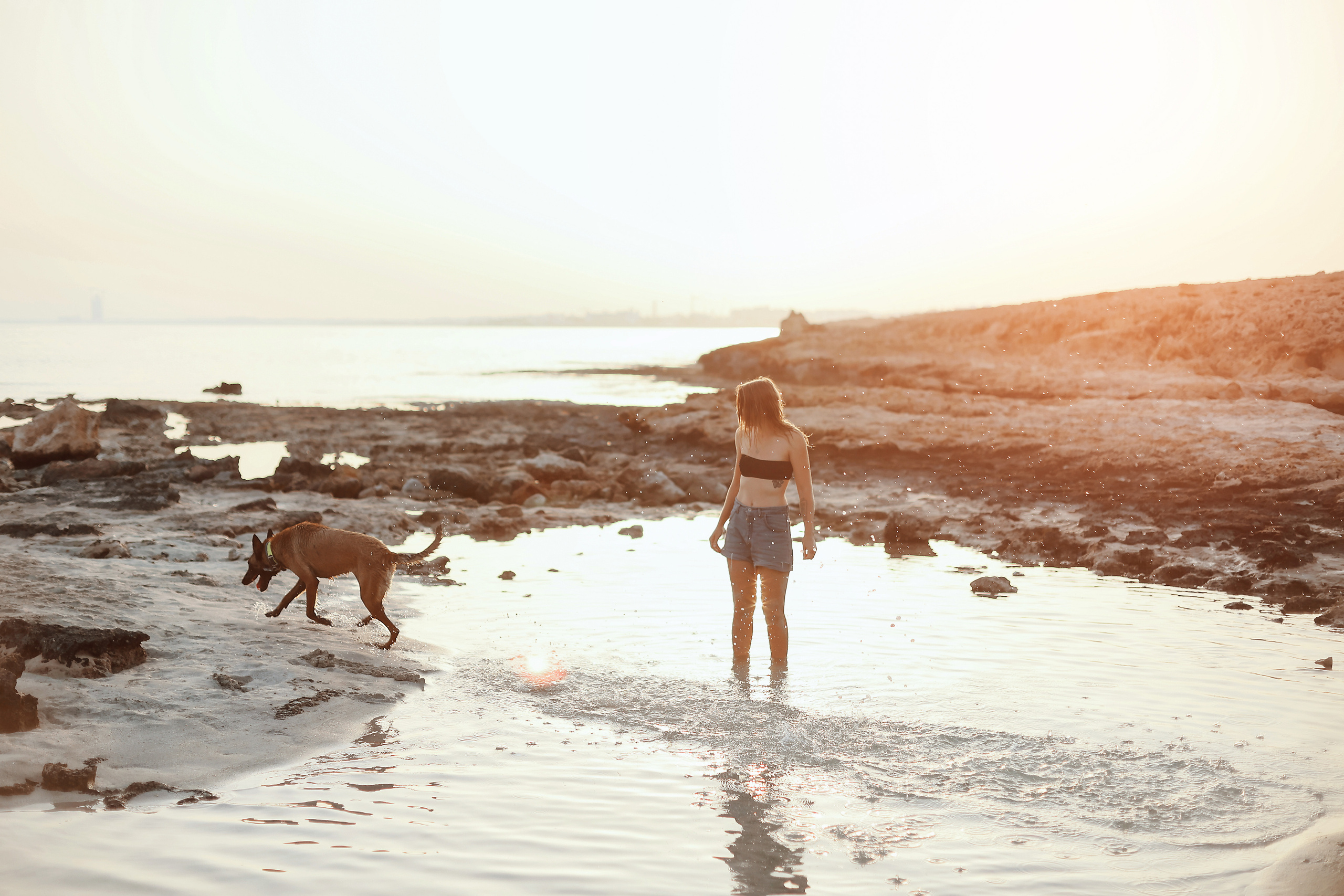 Съемка с питомцем, Айя-Напа. Май, 2022. Kipriotka. Ваш фотограф на Кипре (Айя-Напа, Протарас)