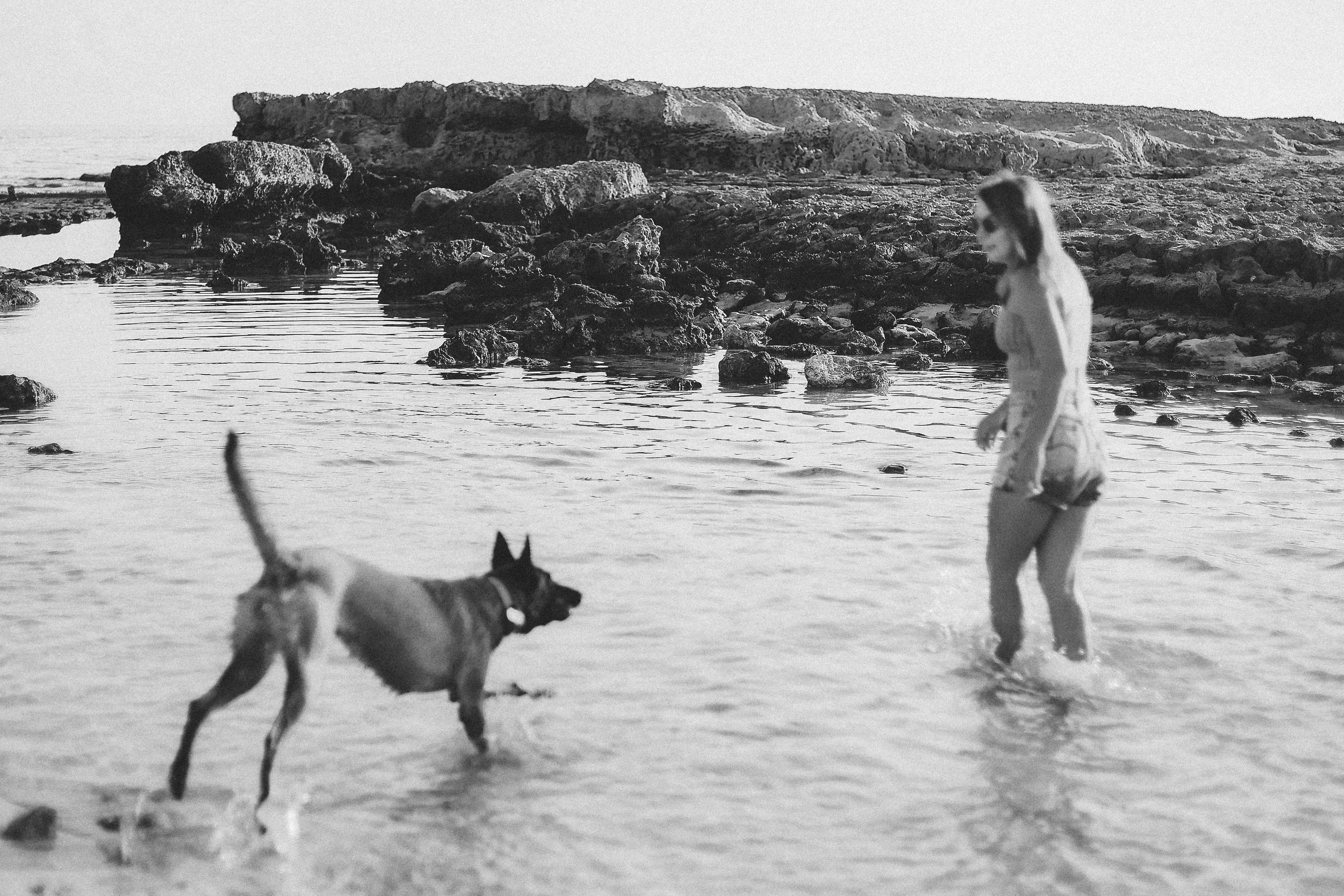 Съемка с питомцем, Айя-Напа. Май, 2022. Kipriotka. Ваш фотограф на Кипре (Айя-Напа, Протарас)