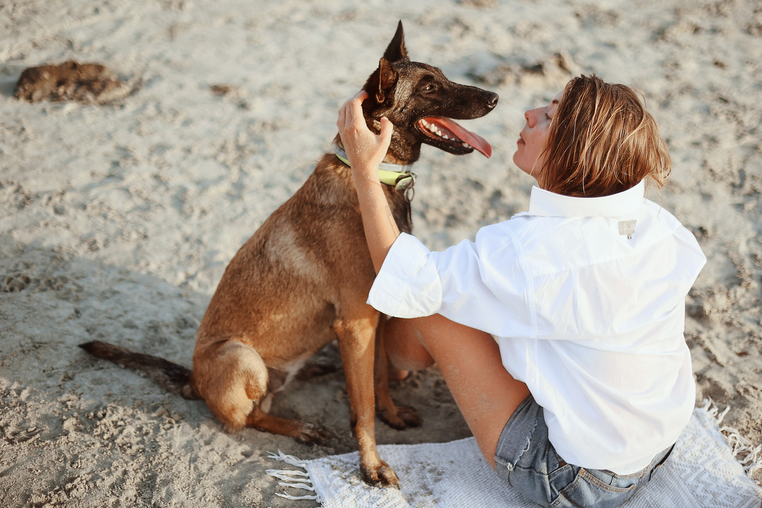 Съемка с питомцем, Айя-Напа. Май, 2022. Kipriotka. Ваш фотограф на Кипре (Айя-Напа, Протарас)