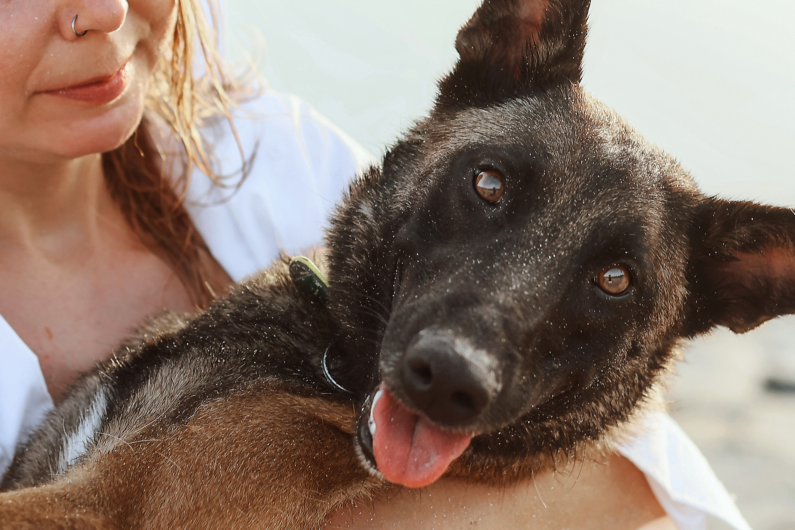 Съемка с питомцем, Айя-Напа. Май, 2022. Kipriotka. Ваш фотограф на Кипре (Айя-Напа, Протарас)