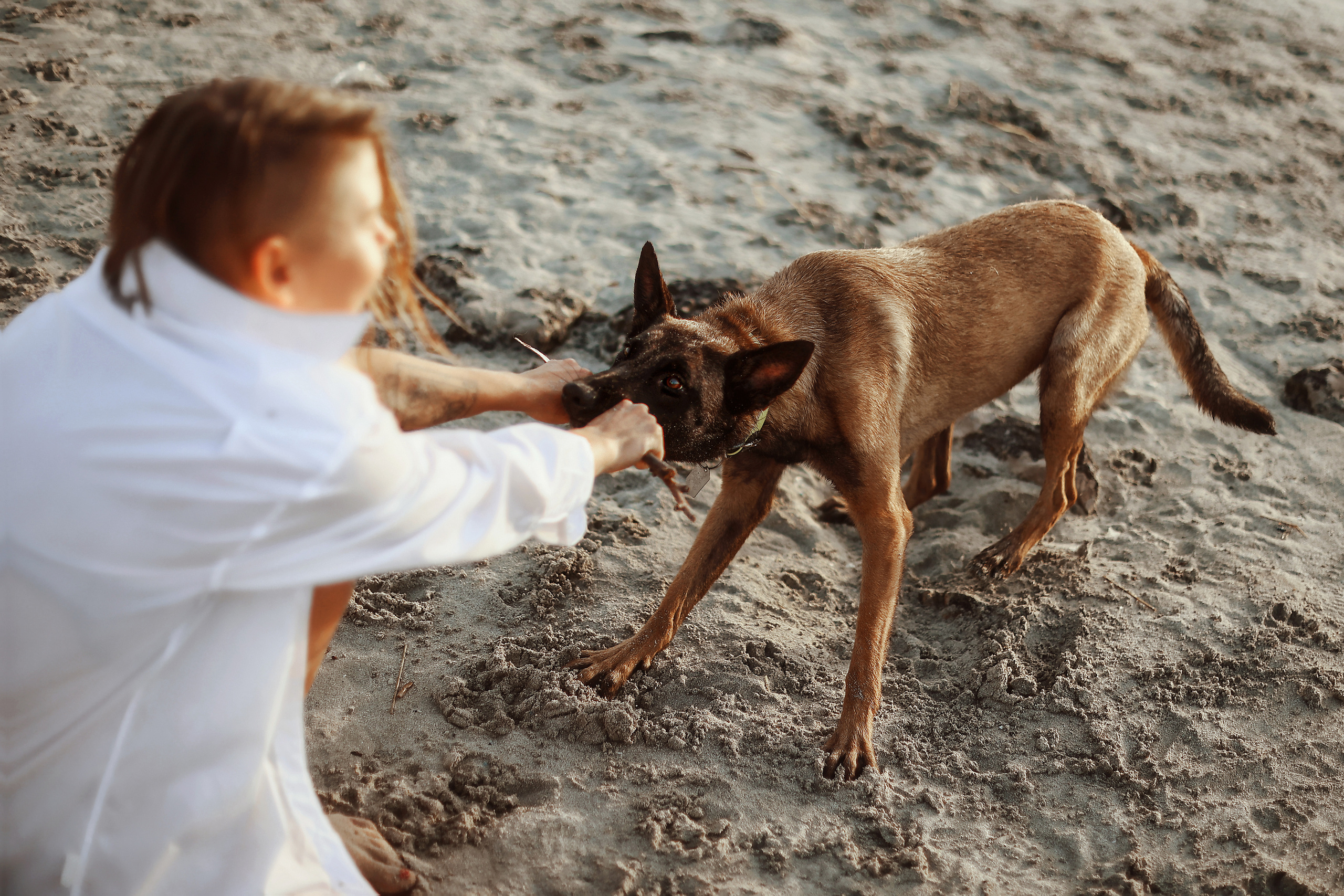 Съемка с питомцем, Айя-Напа. Май, 2022. Kipriotka. Ваш фотограф на Кипре (Айя-Напа, Протарас)