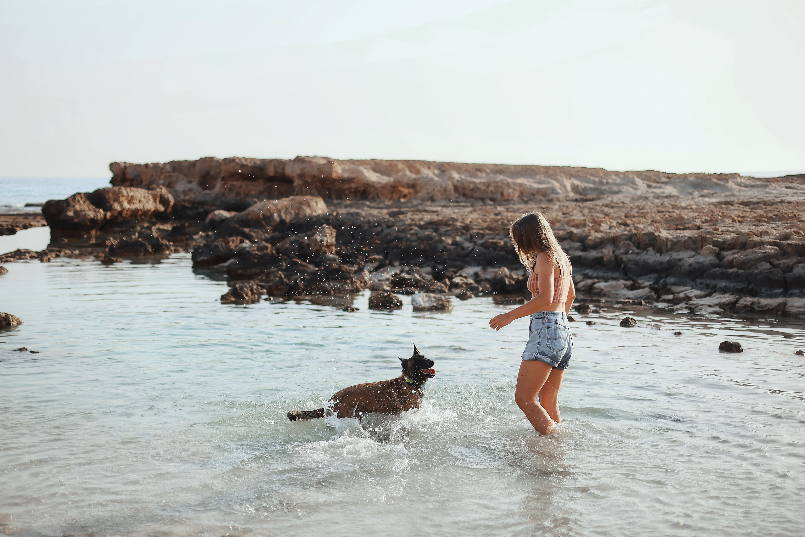 Съемка с питомцем, Айя-Напа. Май, 2022. Kipriotka. Ваш фотограф на Кипре (Айя-Напа, Протарас)