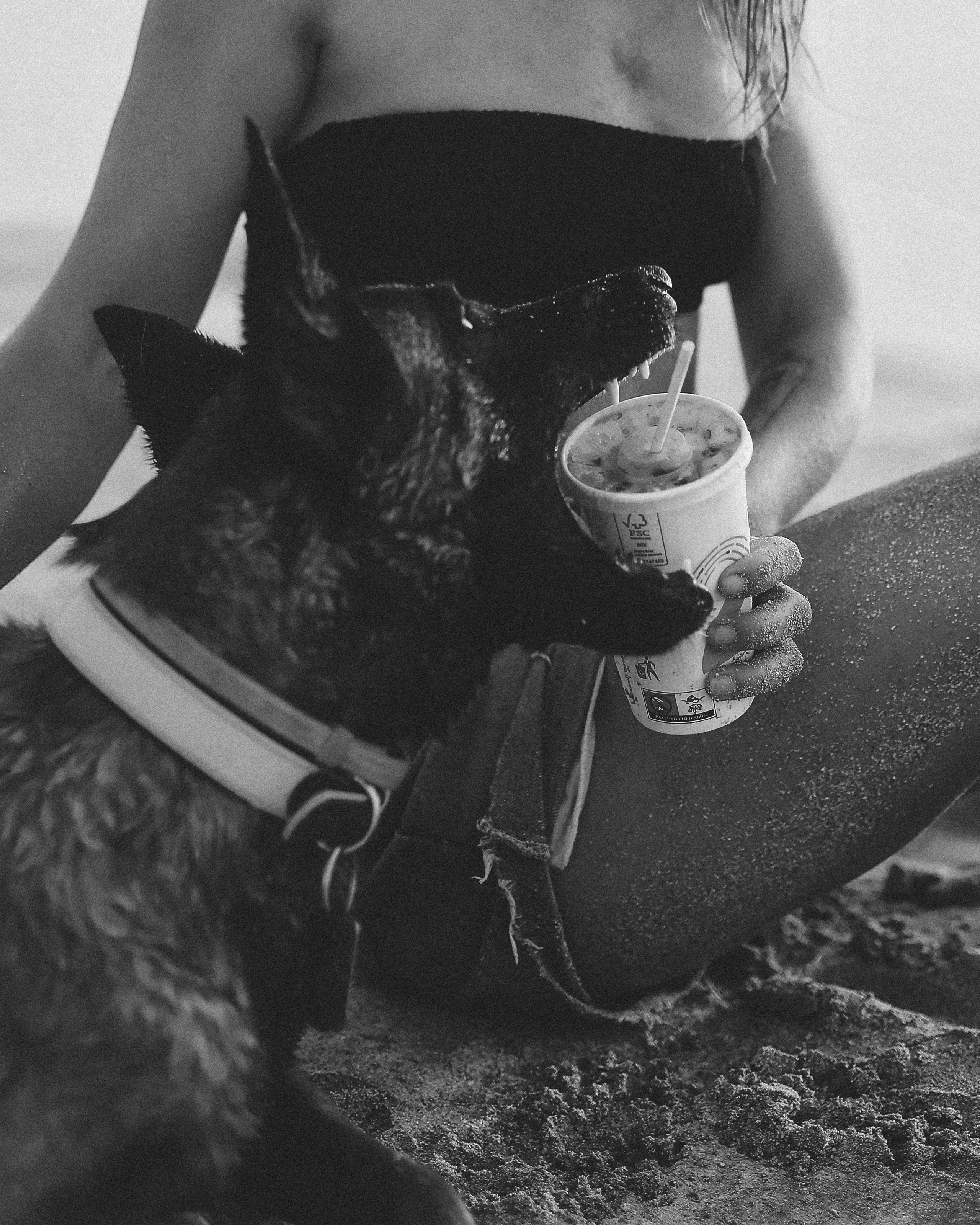 Съемка с питомцем, Айя-Напа. Май, 2022. Kipriotka. Ваш фотограф на Кипре (Айя-Напа, Протарас)