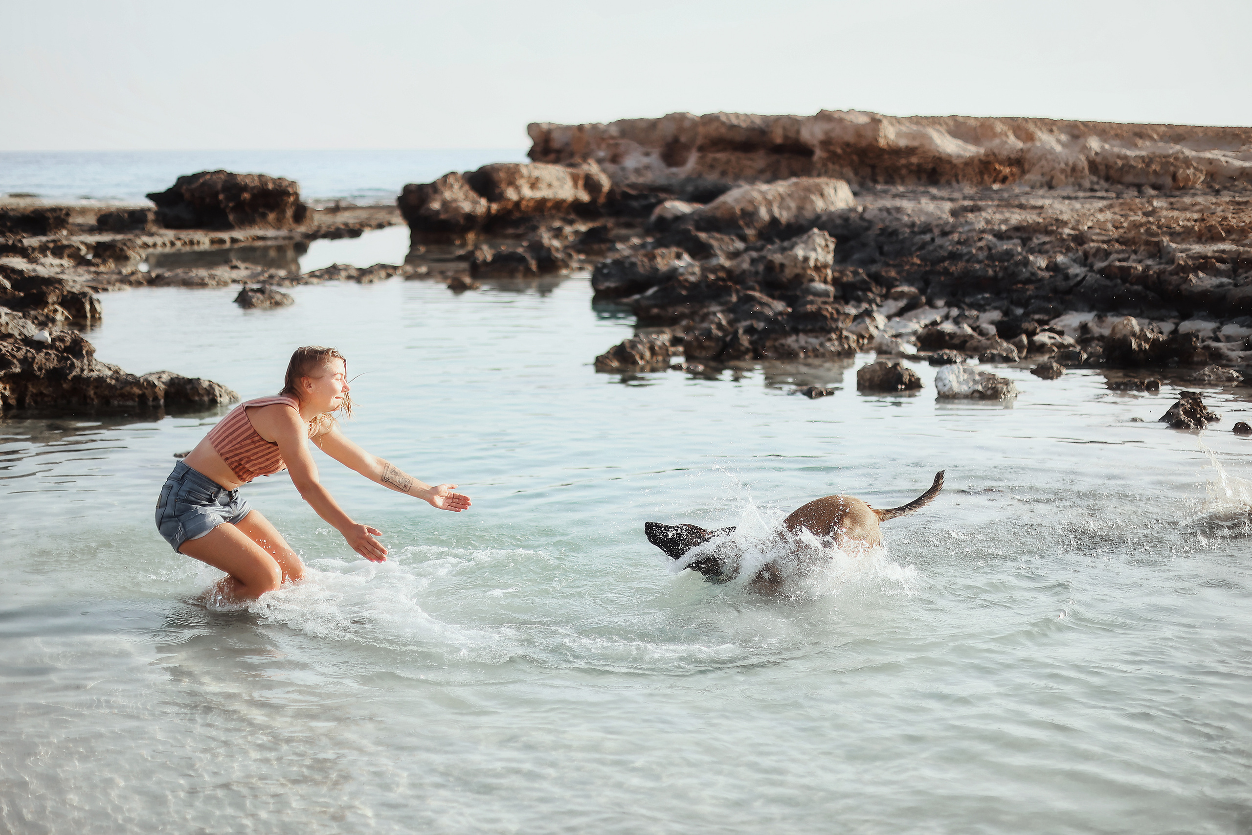 Съемка с питомцем, Айя-Напа. Май, 2022. Kipriotka. Ваш фотограф на Кипре (Айя-Напа, Протарас)