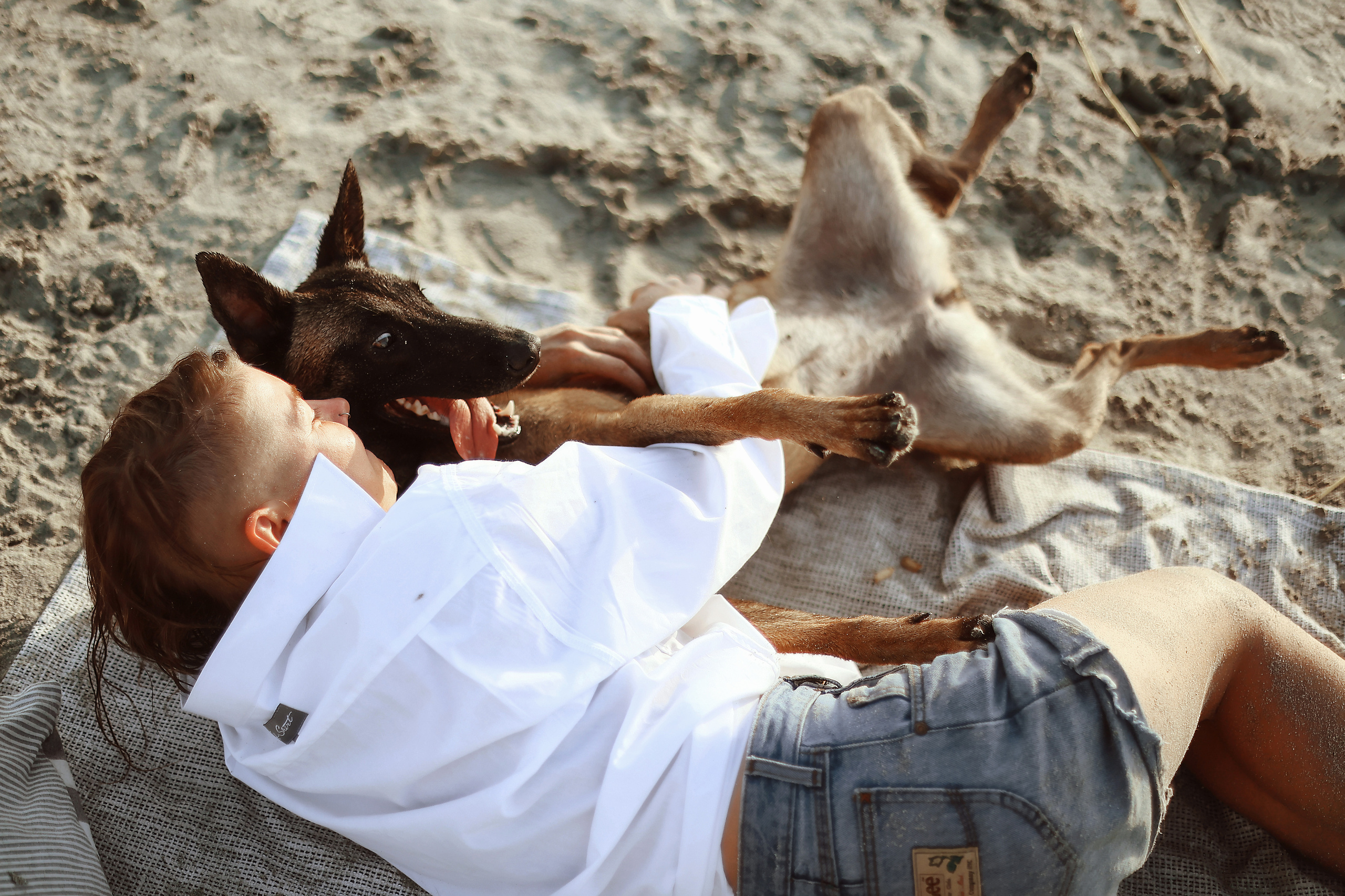 Съемка с питомцем, Айя-Напа. Май, 2022. Kipriotka. Ваш фотограф на Кипре (Айя-Напа, Протарас)