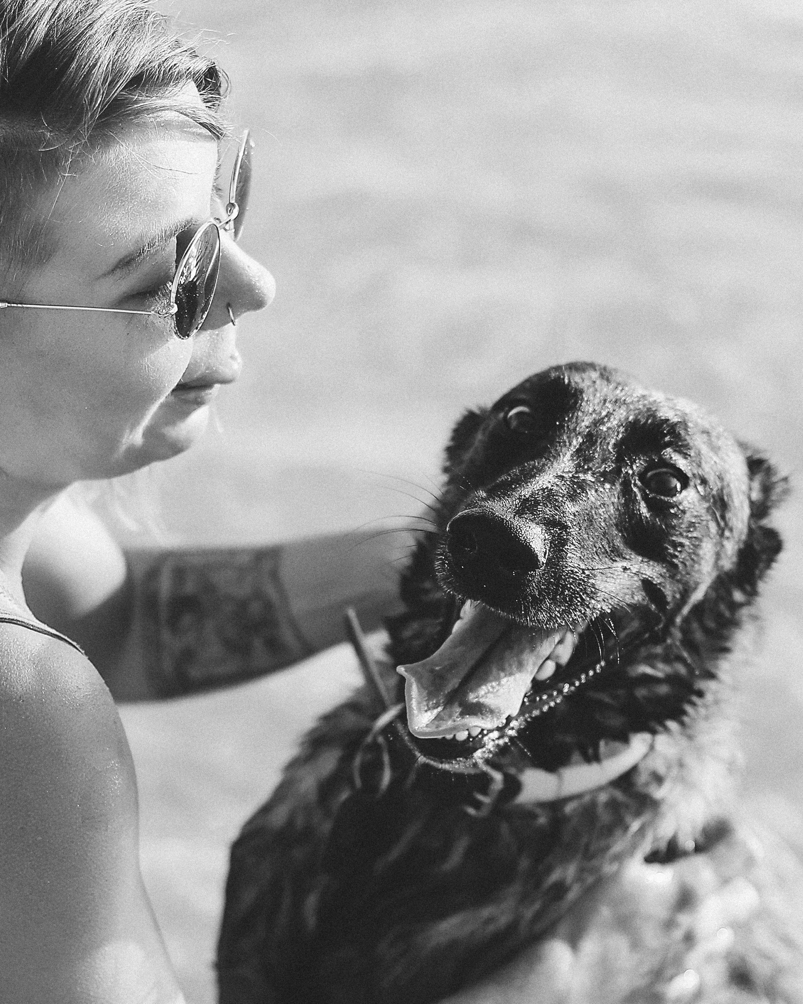 Съемка с питомцем, Айя-Напа. Май, 2022. Kipriotka. Ваш фотограф на Кипре (Айя-Напа, Протарас)