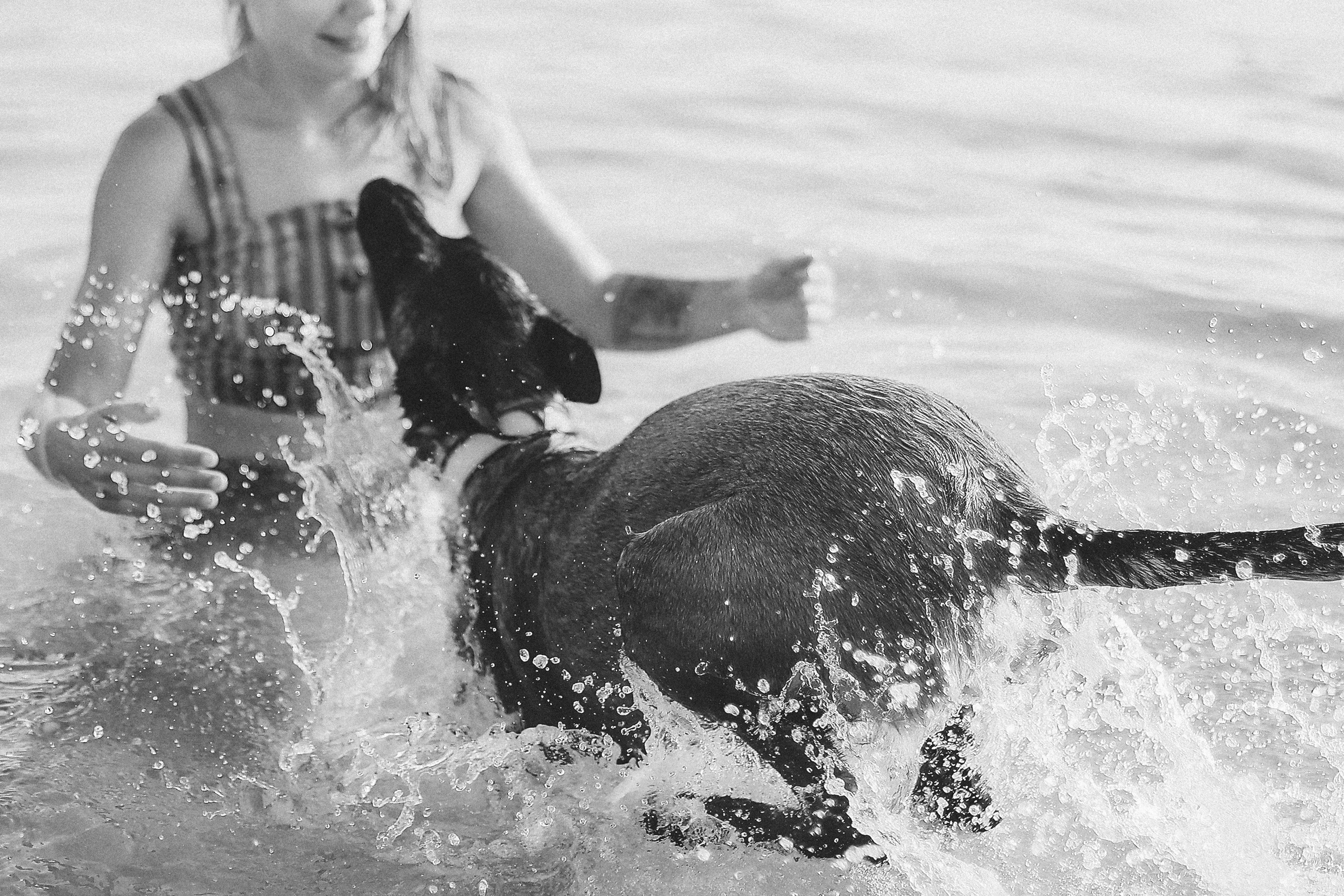 Съемка с питомцем, Айя-Напа. Май, 2022. Kipriotka. Ваш фотограф на Кипре (Айя-Напа, Протарас)