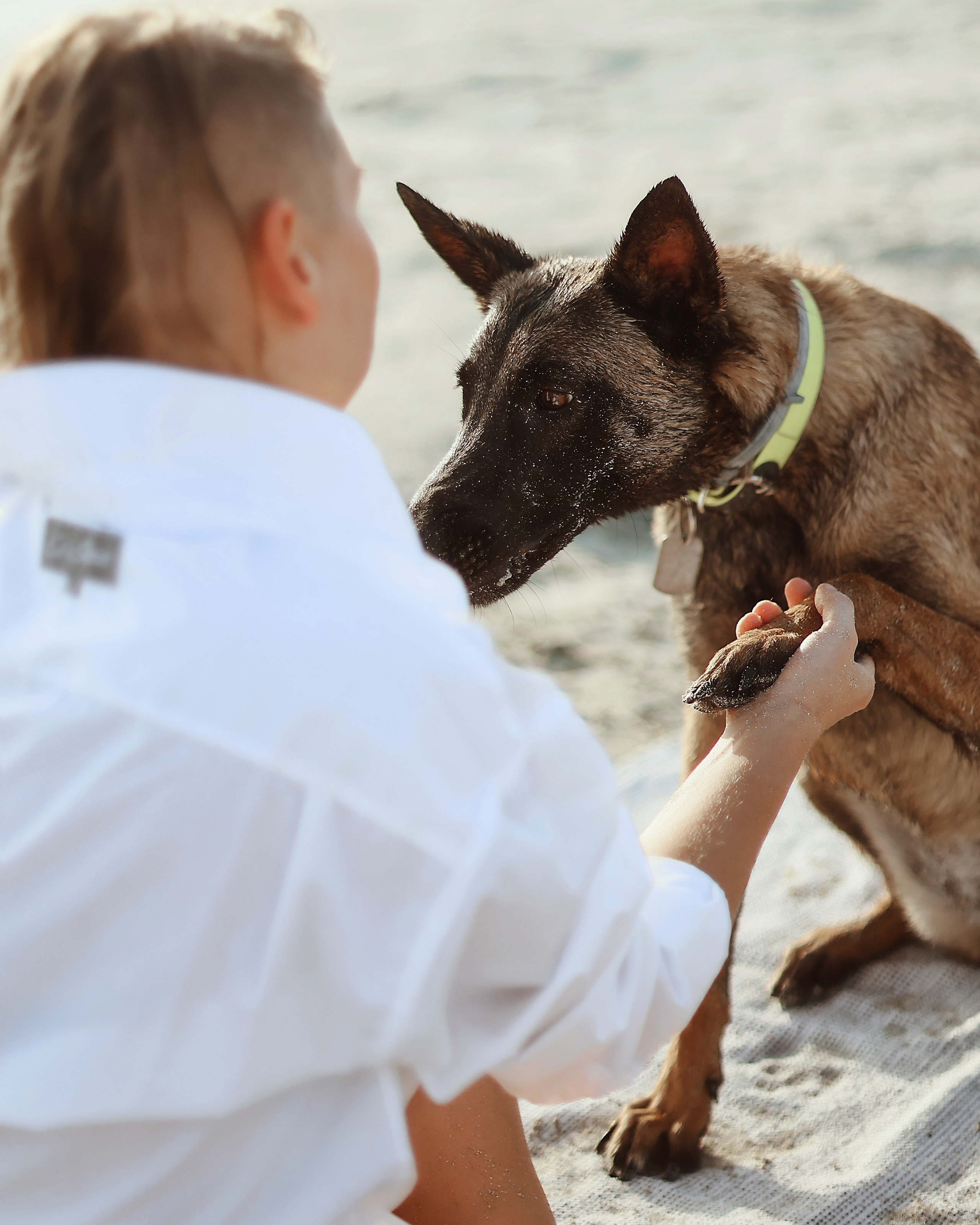 Съемка с питомцем, Айя-Напа. Май, 2022. Kipriotka. Ваш фотограф на Кипре (Айя-Напа, Протарас)