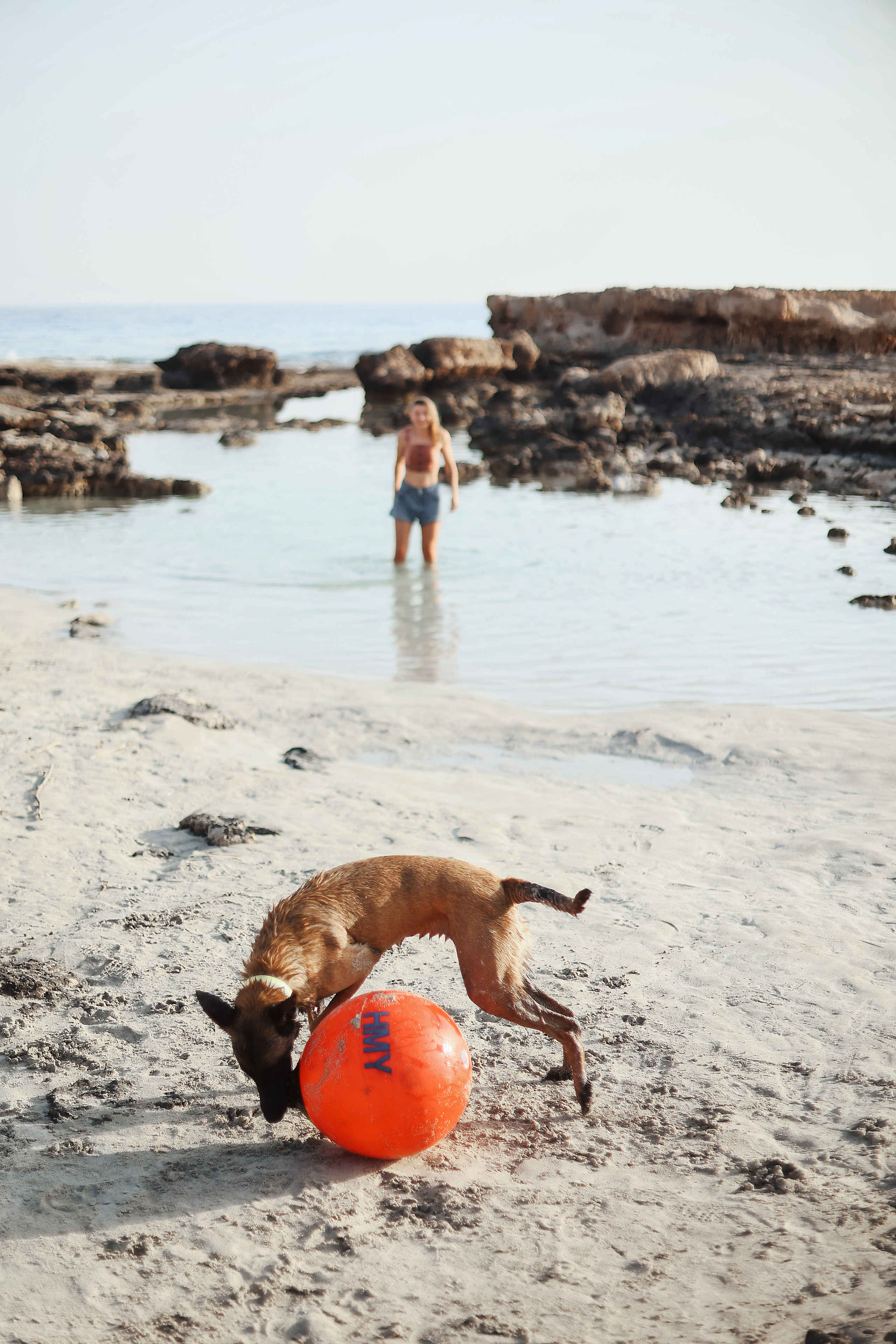 Съемка с питомцем, Айя-Напа. Май, 2022. Kipriotka. Ваш фотограф на Кипре (Айя-Напа, Протарас)
