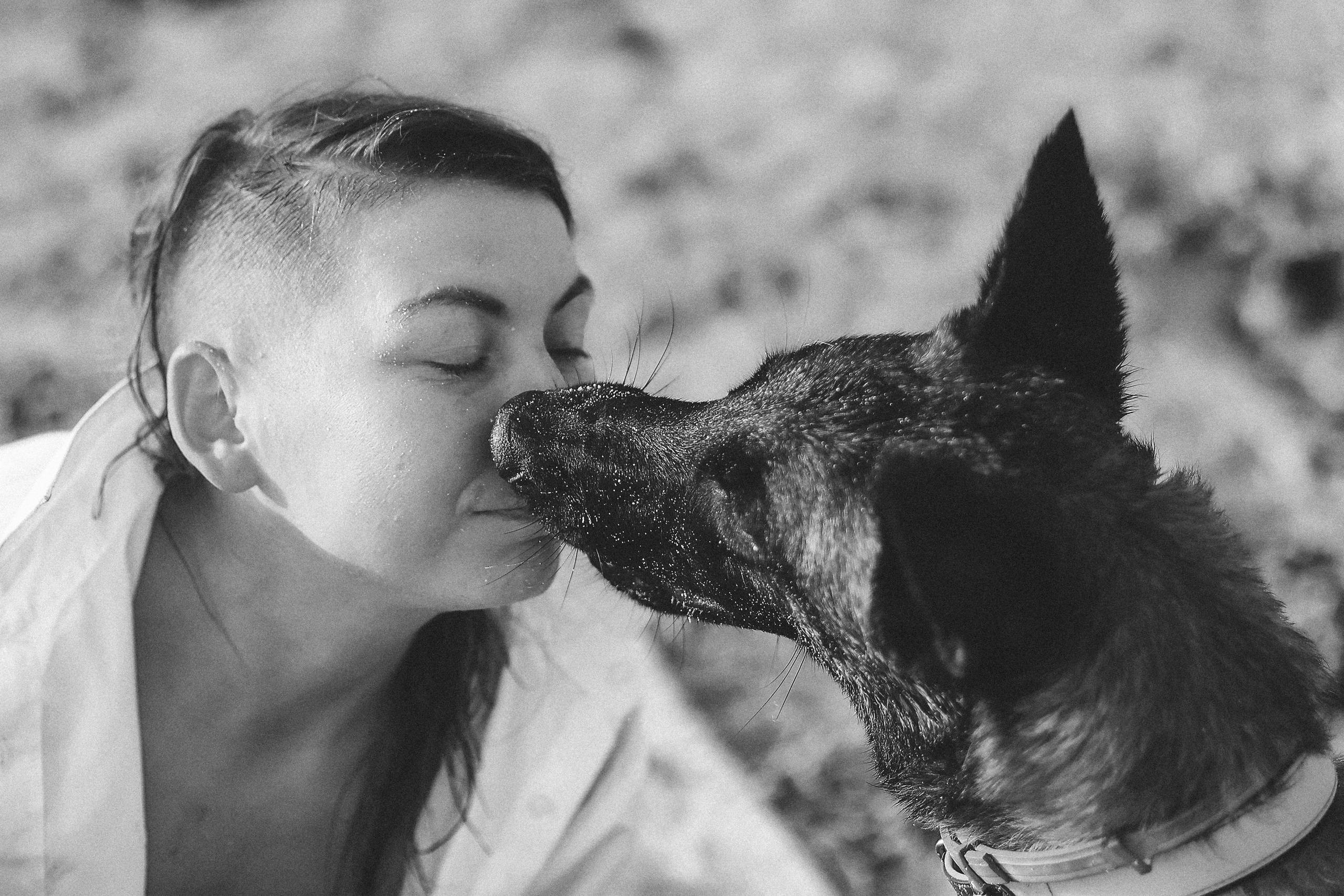 Съемка с питомцем, Айя-Напа. Май, 2022. Kipriotka. Ваш фотограф на Кипре (Айя-Напа, Протарас)