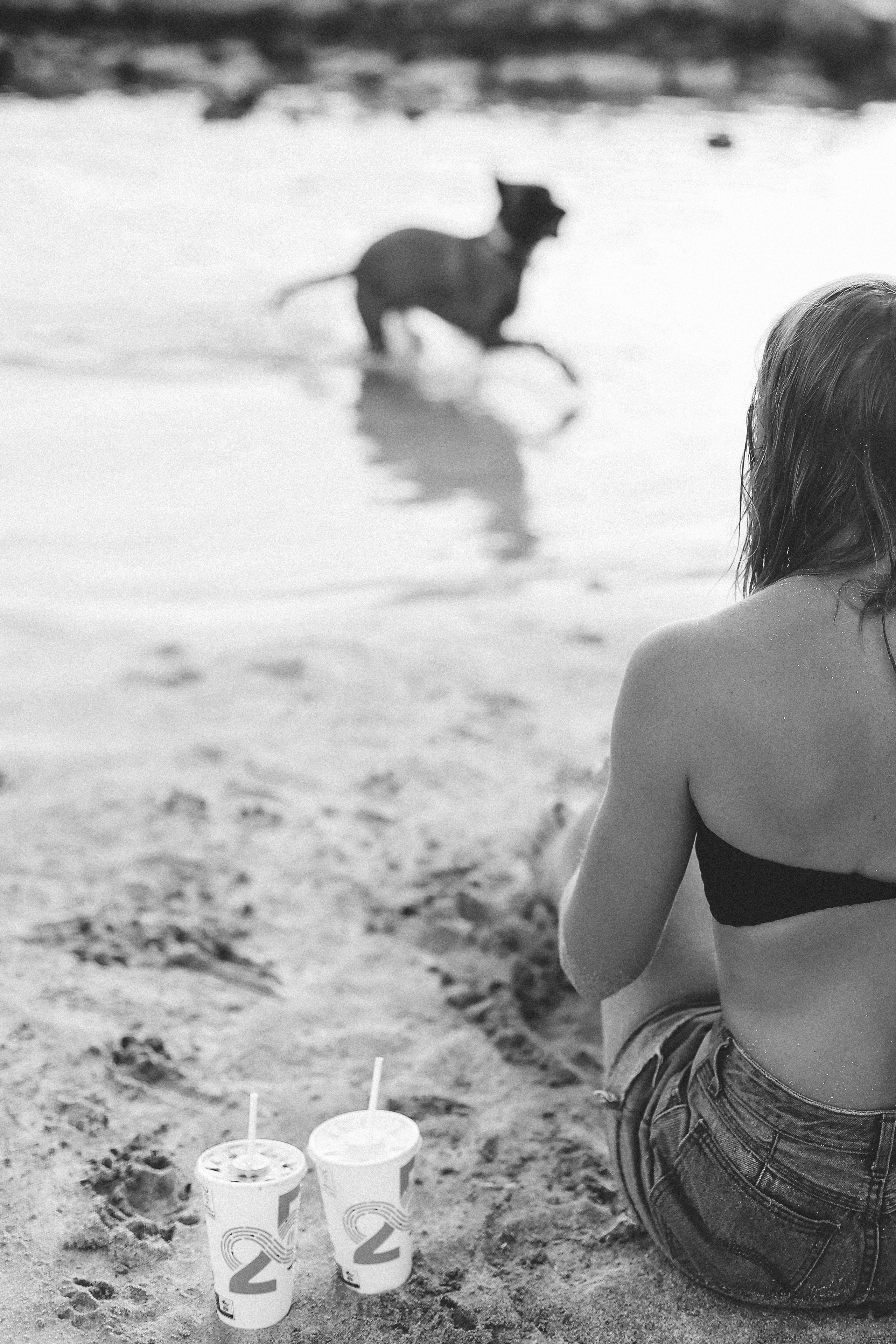 Съемка с питомцем, Айя-Напа. Май, 2022. Kipriotka. Ваш фотограф на Кипре (Айя-Напа, Протарас)