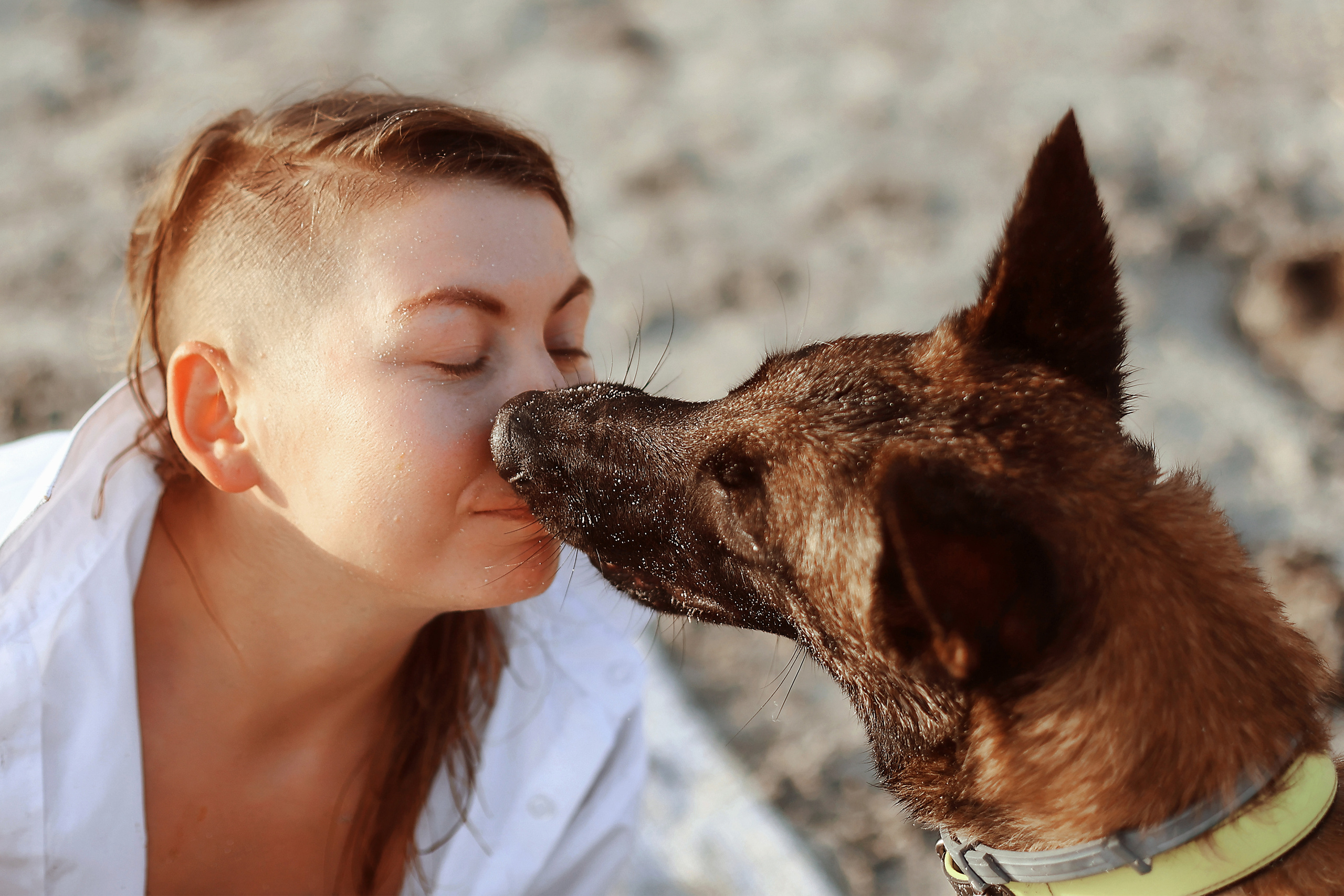 Съемка с питомцем, Айя-Напа. Май, 2022. Kipriotka. Ваш фотограф на Кипре (Айя-Напа, Протарас)
