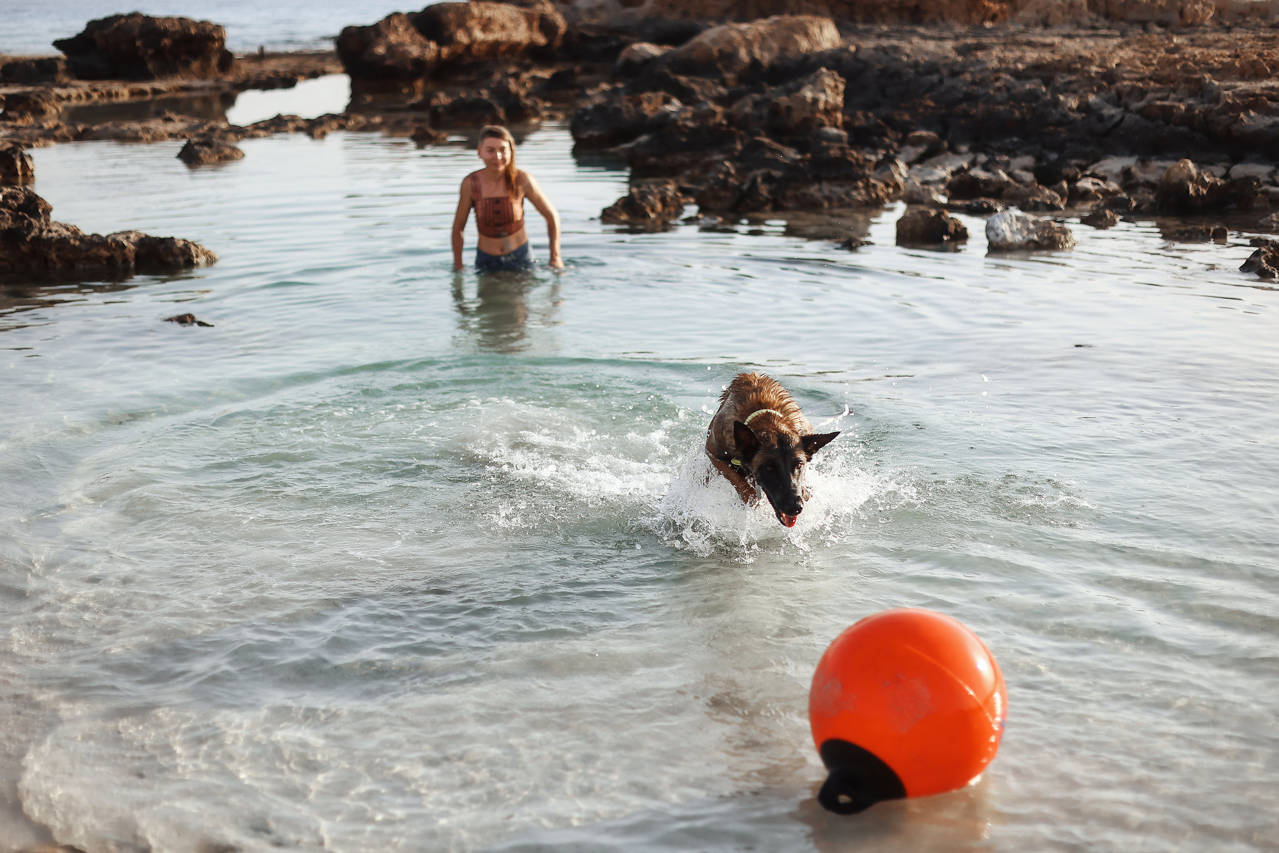 Съемка с питомцем, Айя-Напа. Май, 2022. Kipriotka. Ваш фотограф на Кипре (Айя-Напа, Протарас)