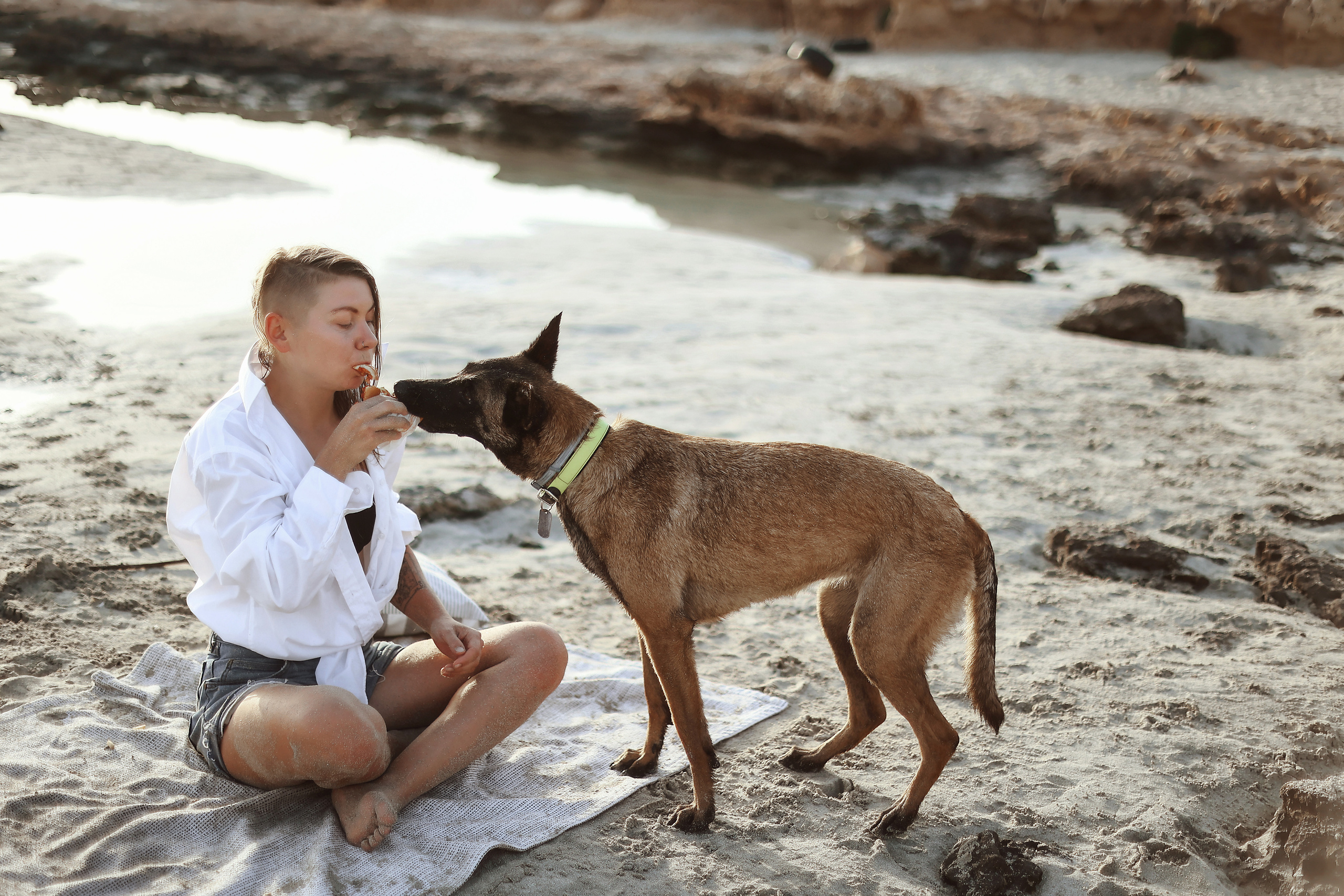 Съемка с питомцем, Айя-Напа. Май, 2022. Kipriotka. Ваш фотограф на Кипре (Айя-Напа, Протарас)