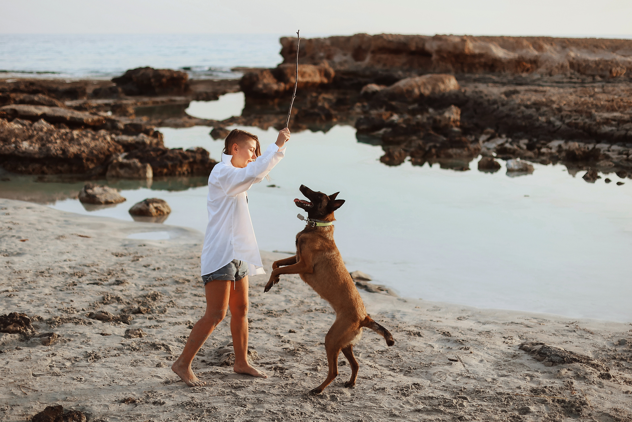 Съемка с питомцем, Айя-Напа. Май, 2022. Kipriotka. Ваш фотограф на Кипре (Айя-Напа, Протарас)