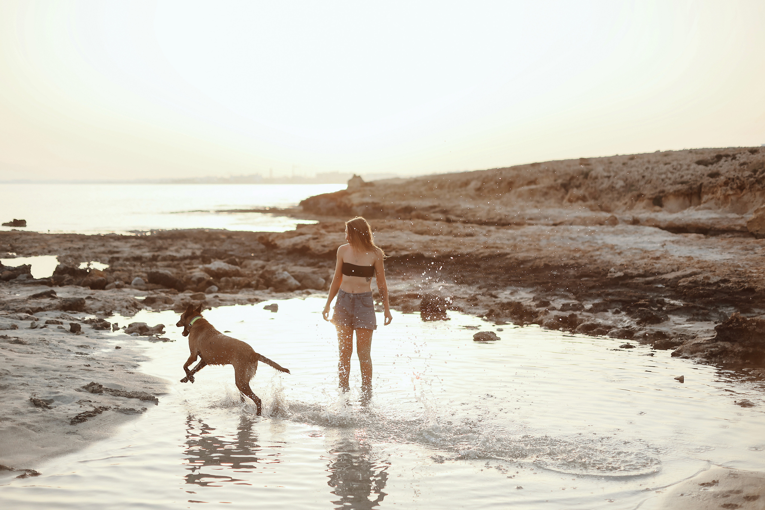 Съемка с питомцем, Айя-Напа. Май, 2022. Kipriotka. Ваш фотограф на Кипре (Айя-Напа, Протарас)