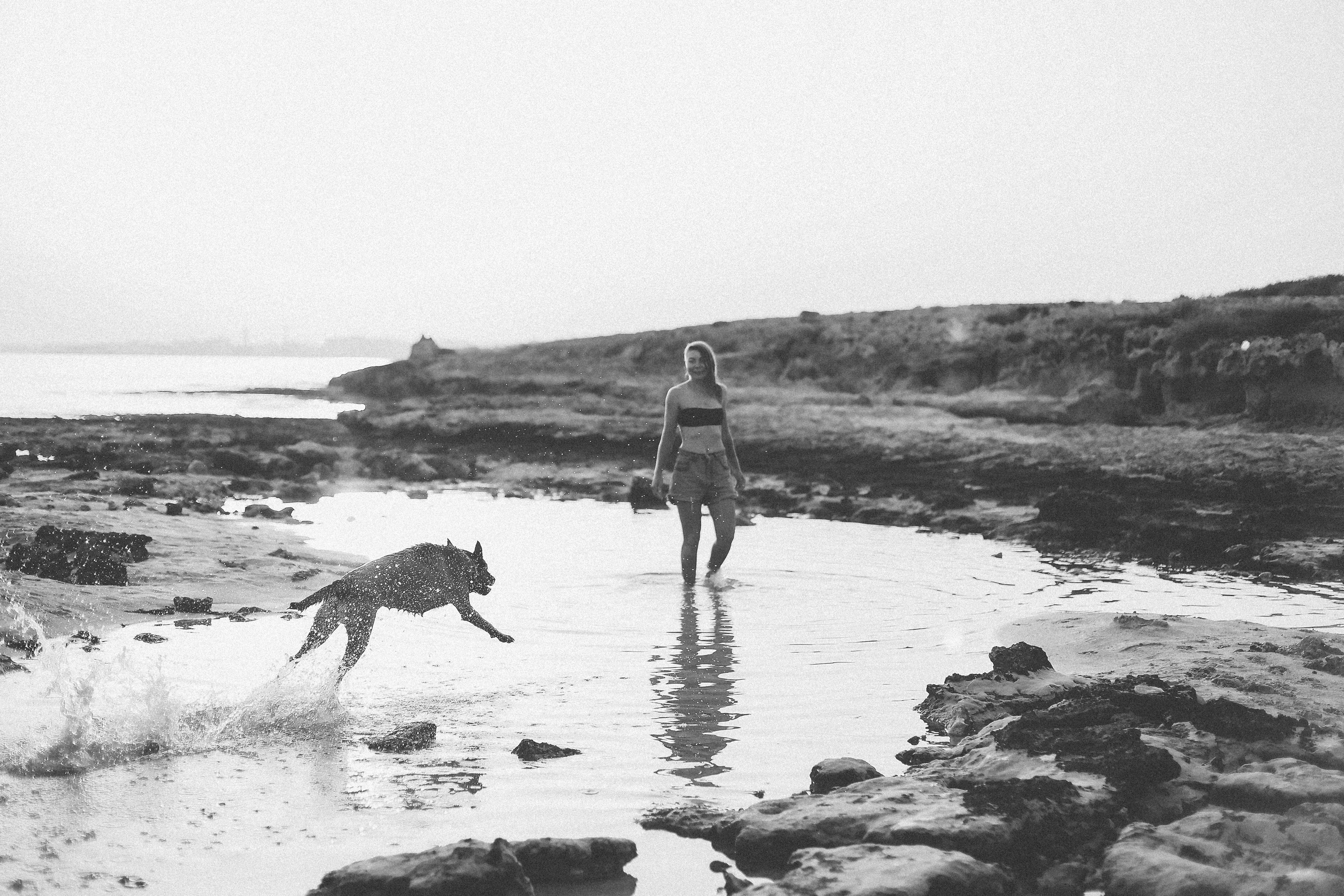 Съемка с питомцем, Айя-Напа. Май, 2022. Kipriotka. Ваш фотограф на Кипре (Айя-Напа, Протарас)