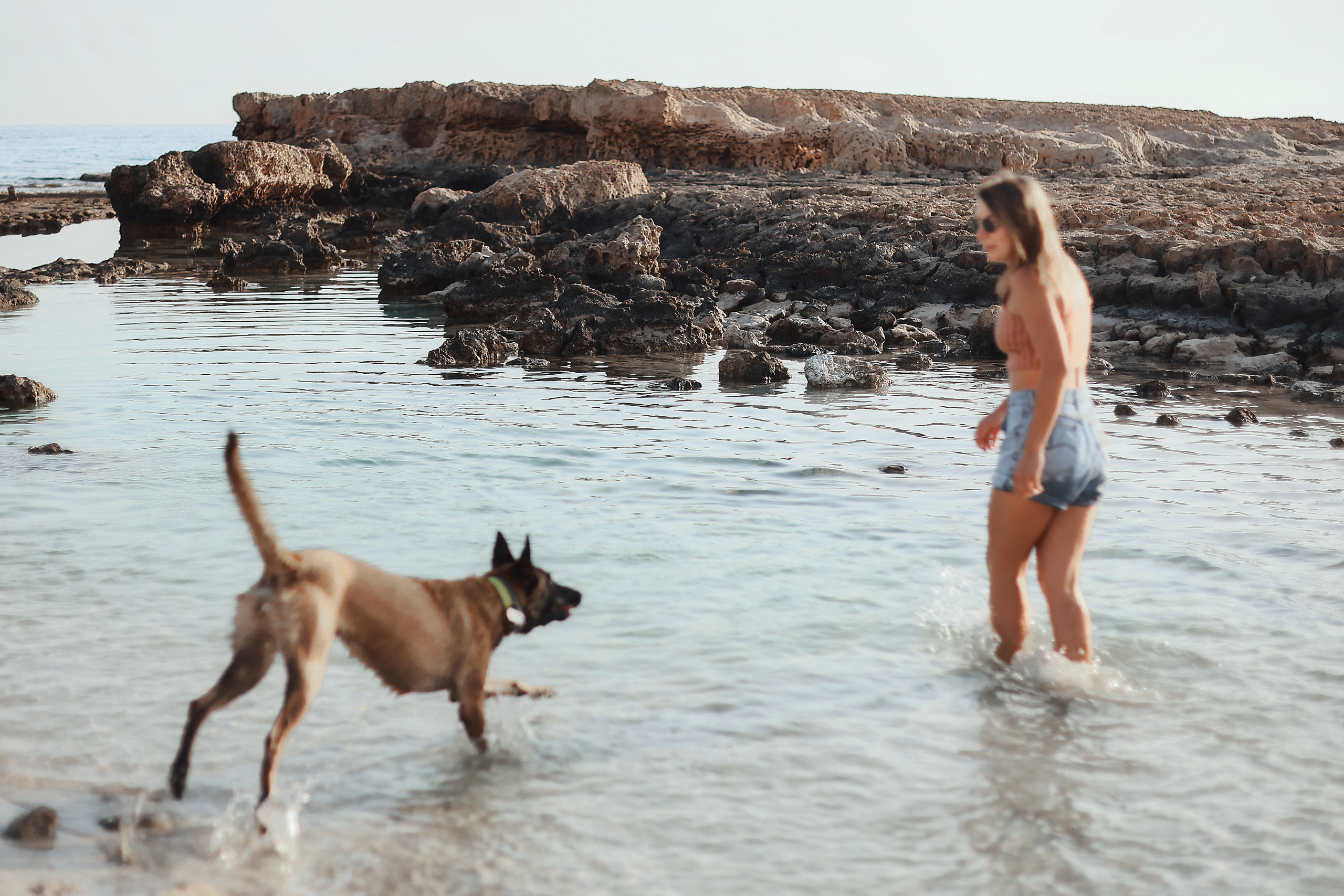 Съемка с питомцем, Айя-Напа. Май, 2022. Kipriotka. Ваш фотограф на Кипре (Айя-Напа, Протарас)