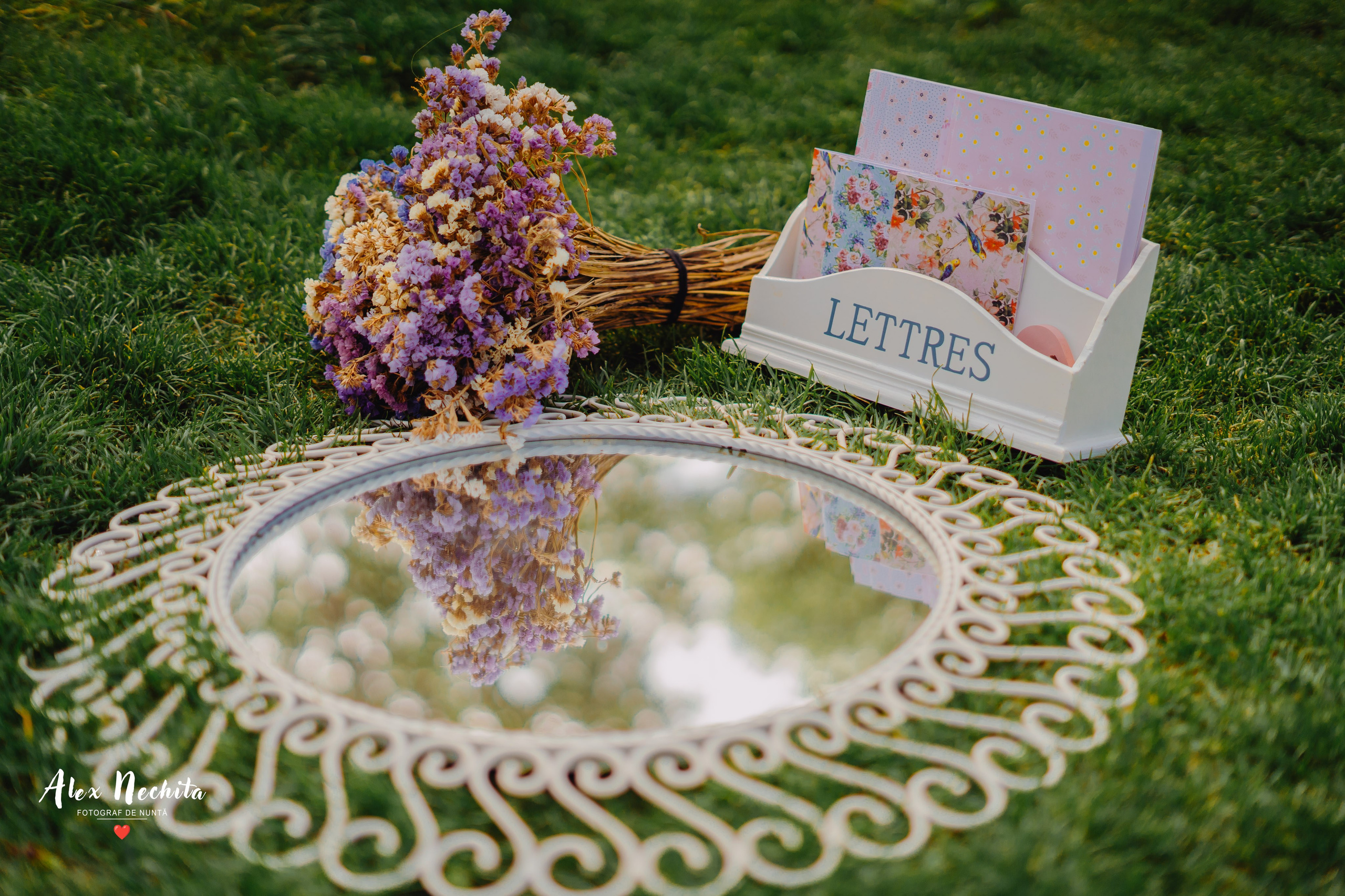 Aniversare în parc. Foto-Video Nunta Iasi, Suceava, Bucuresti / Disponibilitate 2025 — 2026 — 2027