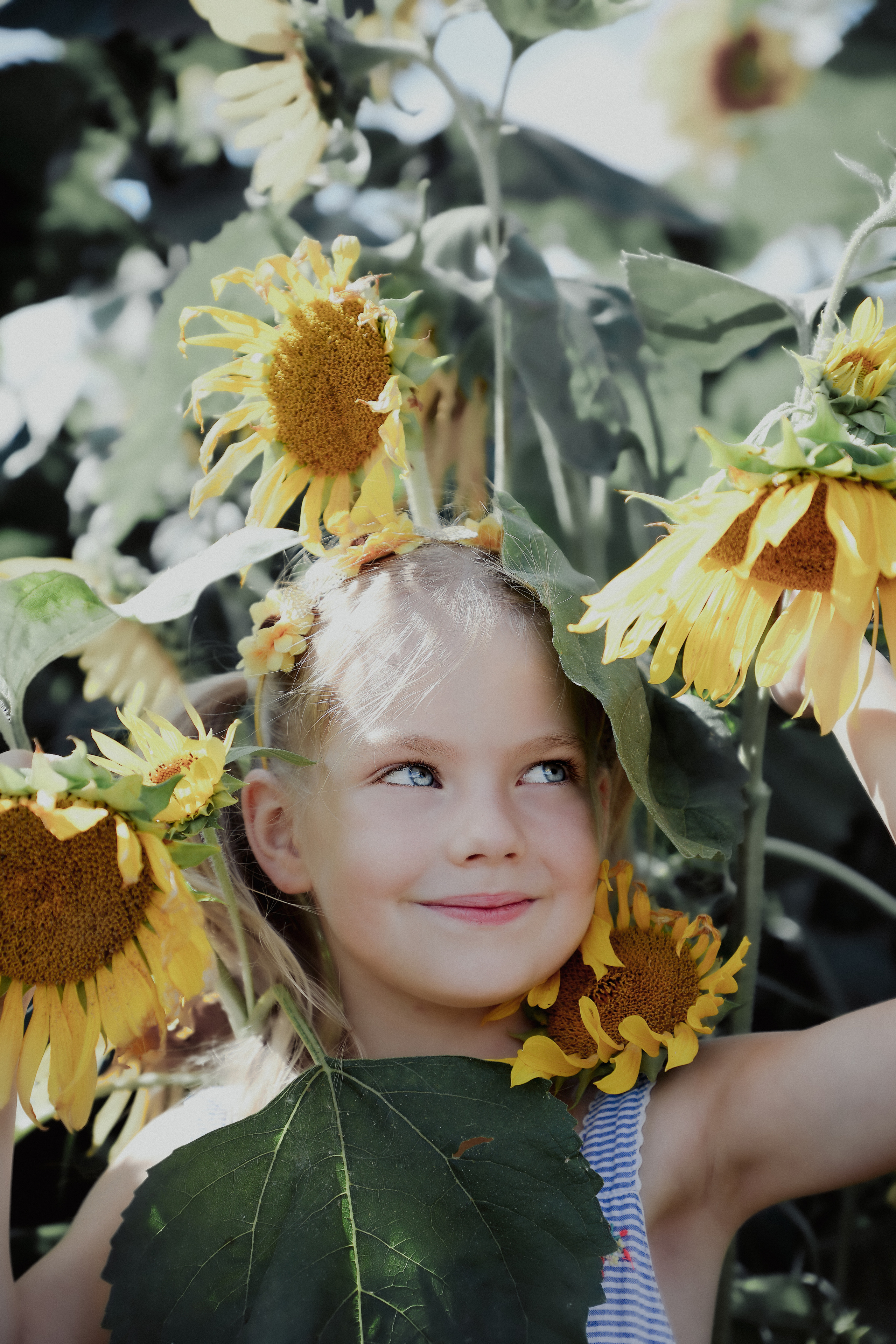 Sunflowers&Aurelija. PORTRAIT|FAMILY|CHILDREN|BRAND PHOTOGRAPHER UK, CAMBRIDGESHIRE