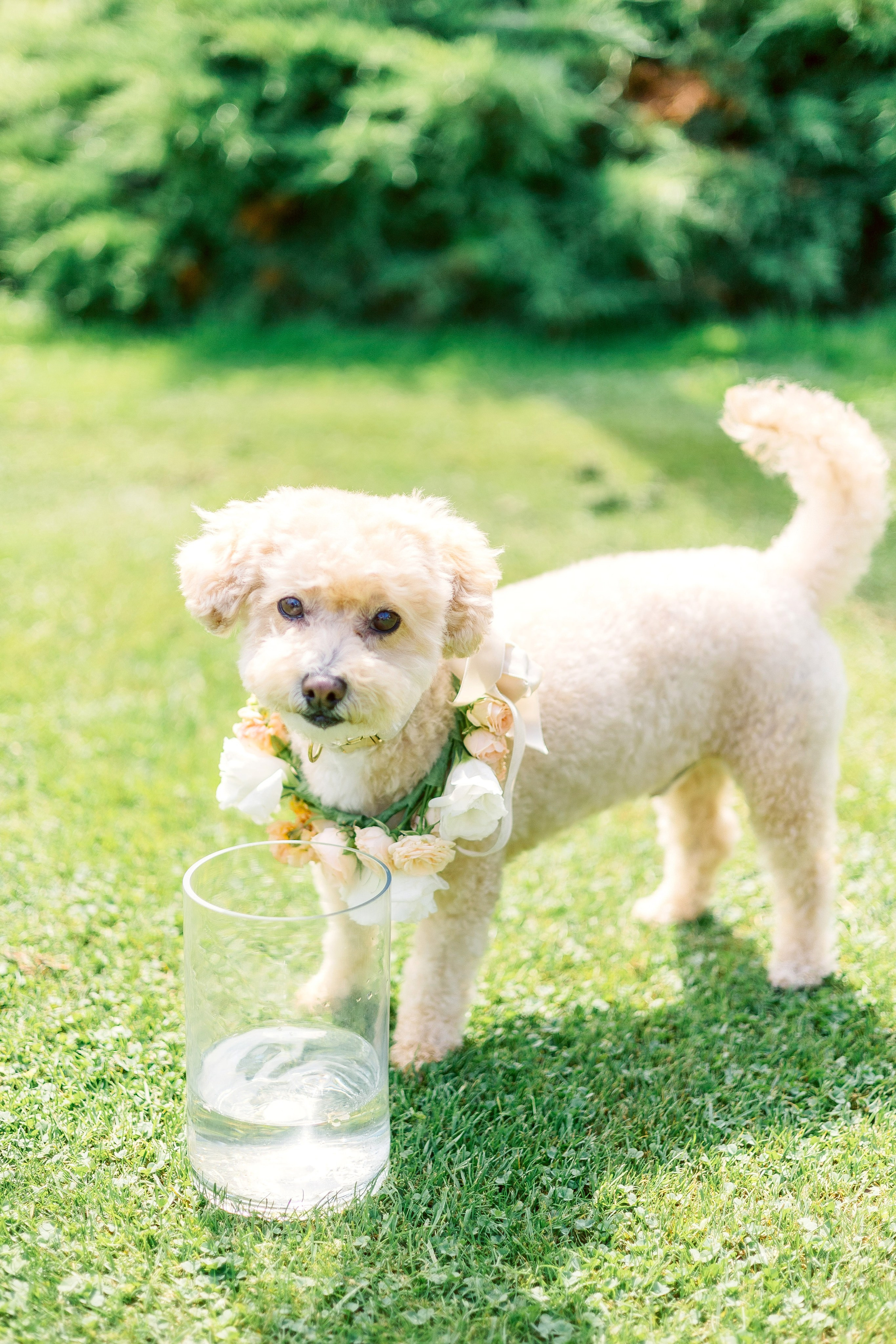 Wedding in Santa Barbara | California