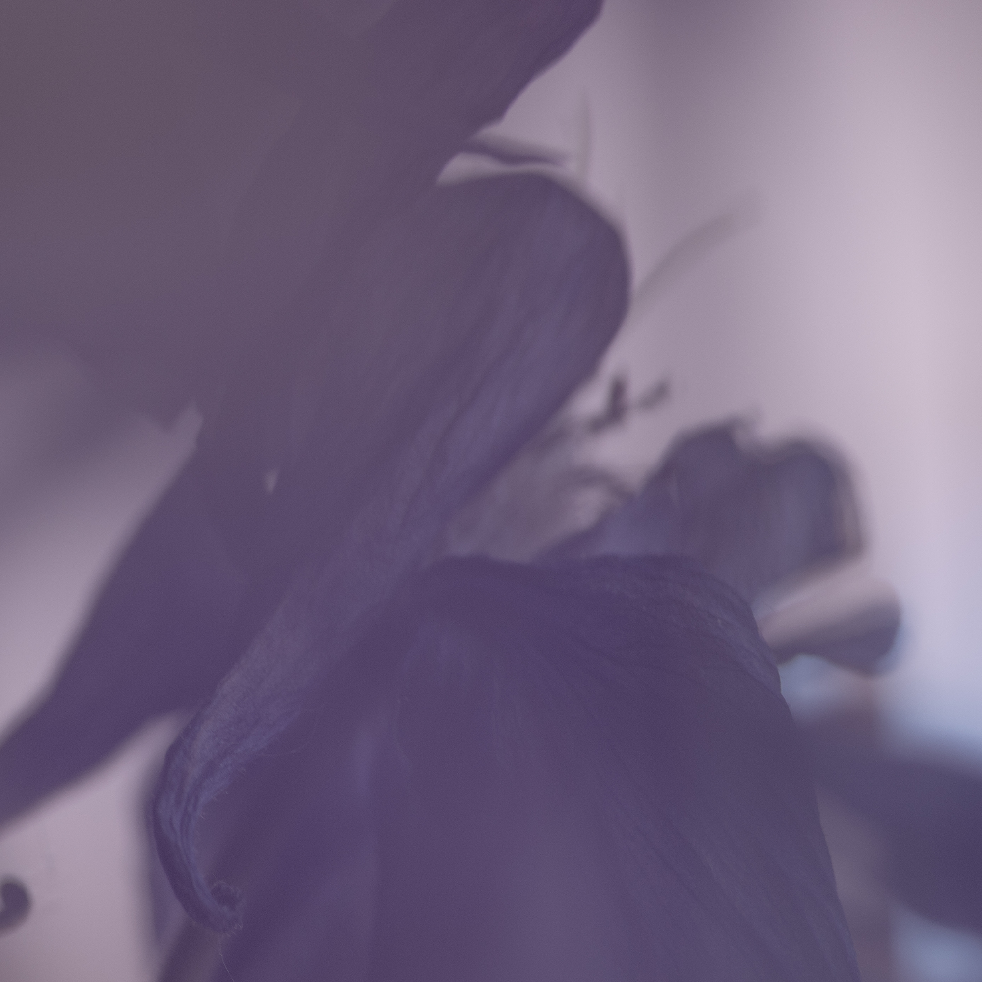 50 SHADES OF PURPLE. Natalja Poplavska — Visual artist, Photographer, East Sussex, London