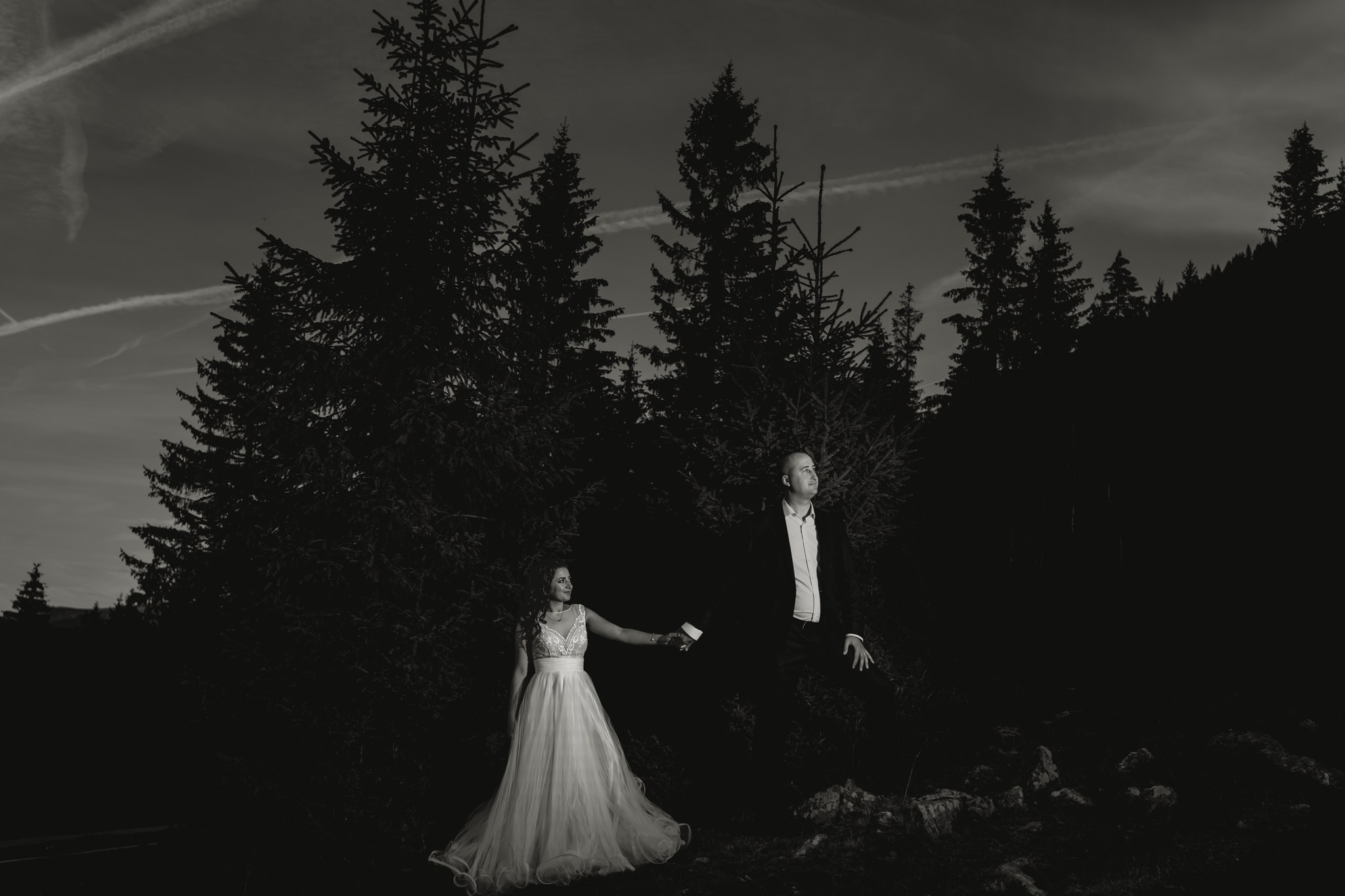 Ana — Adi | Transalpina